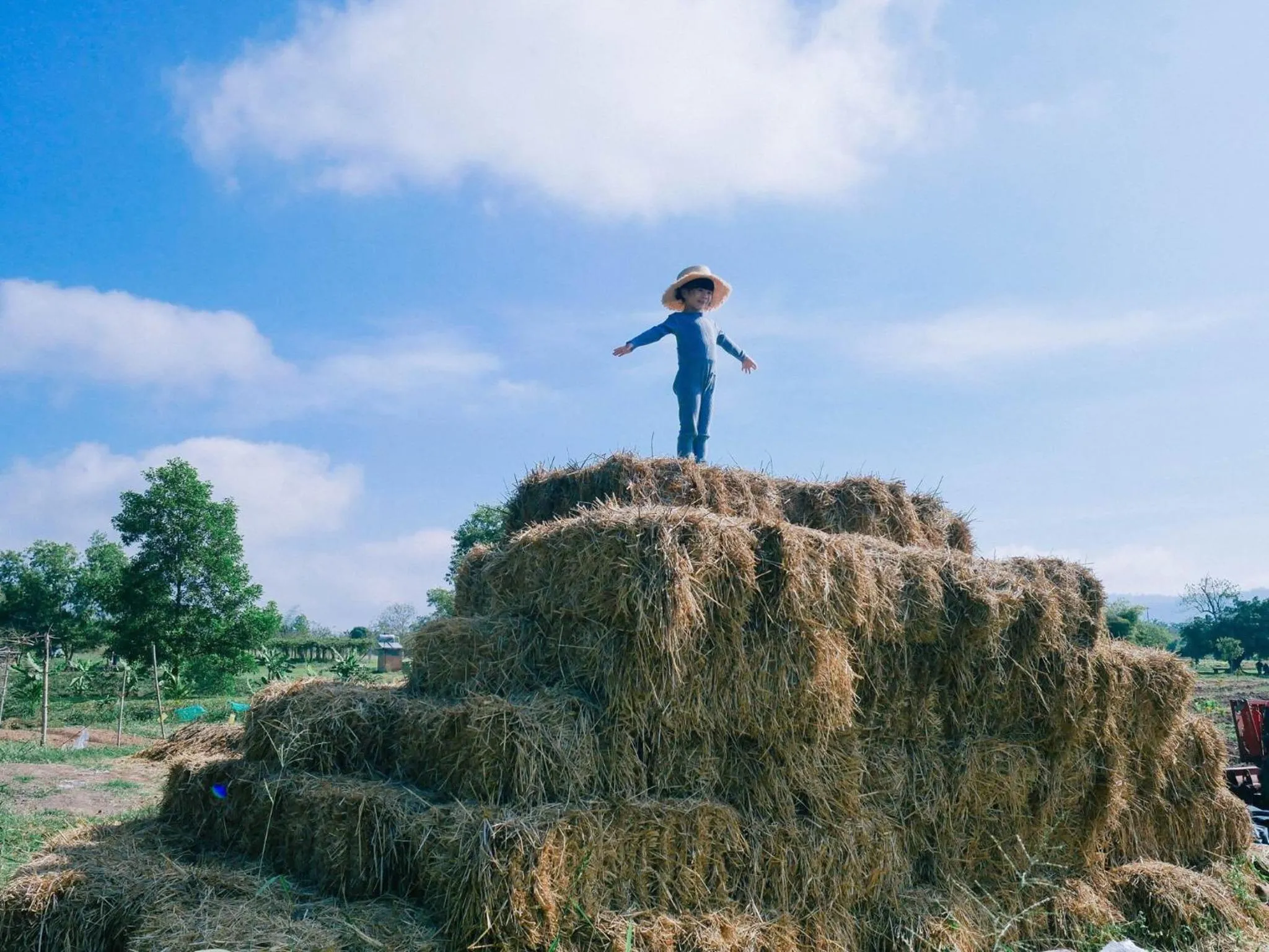 Activities in COOLLiving Farmhouse Organic