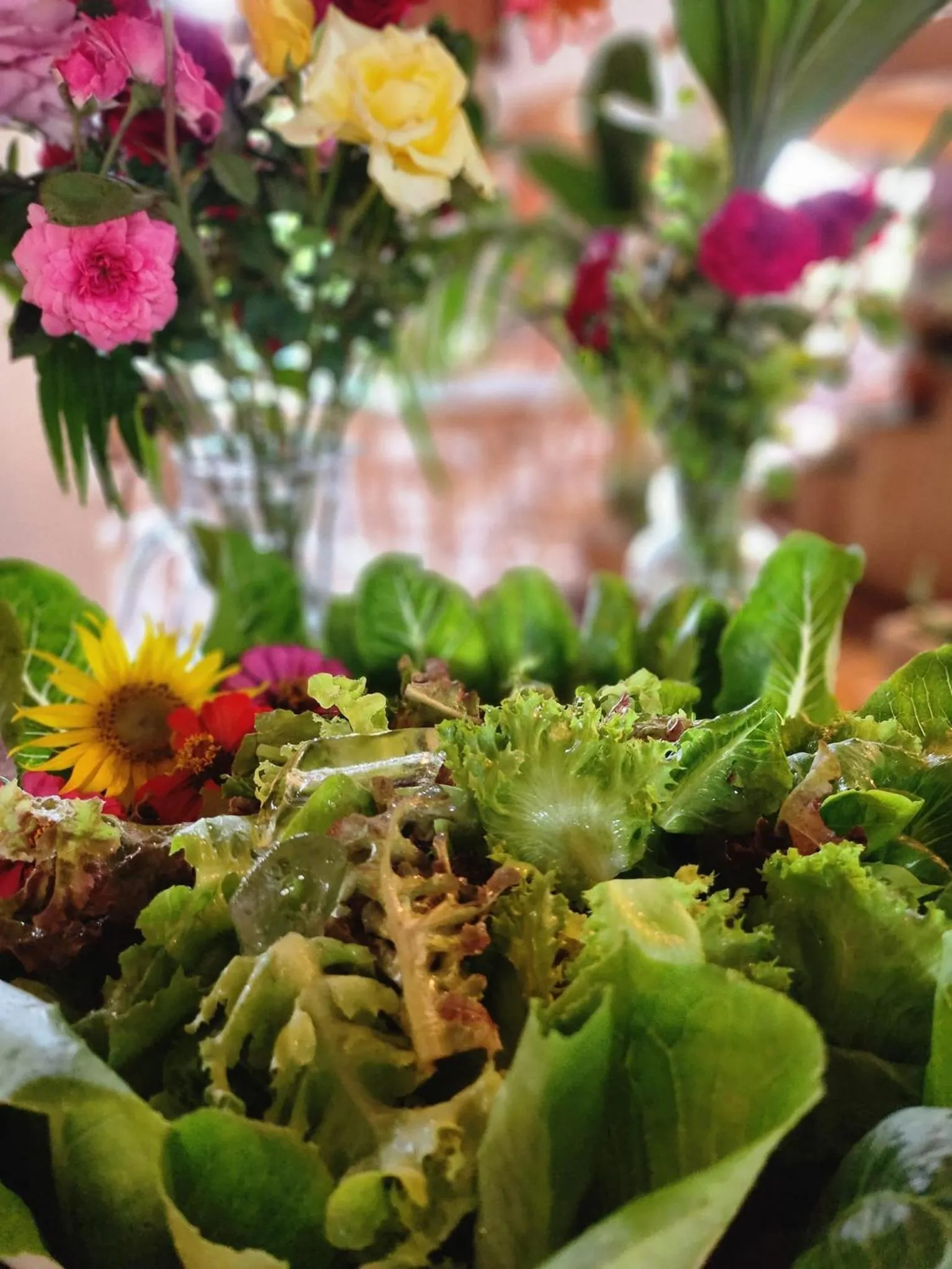 Restaurant/places to eat in COOLLiving Farmhouse Organic