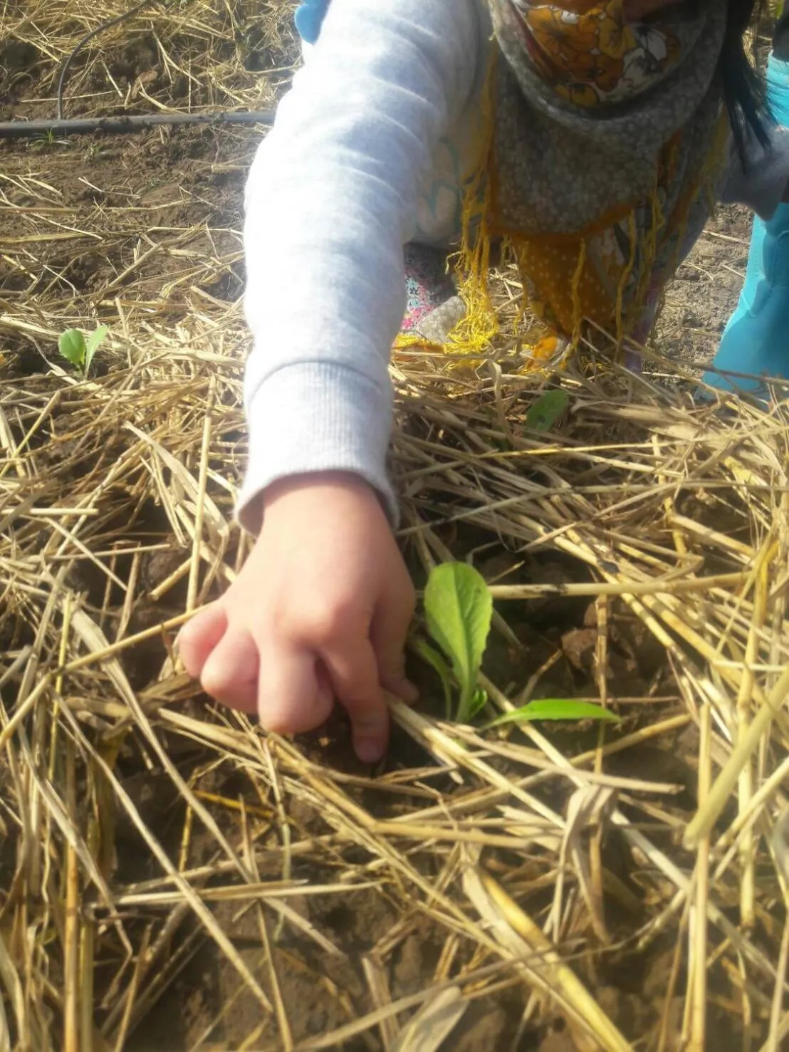 Activities in COOLLiving Farmhouse Organic