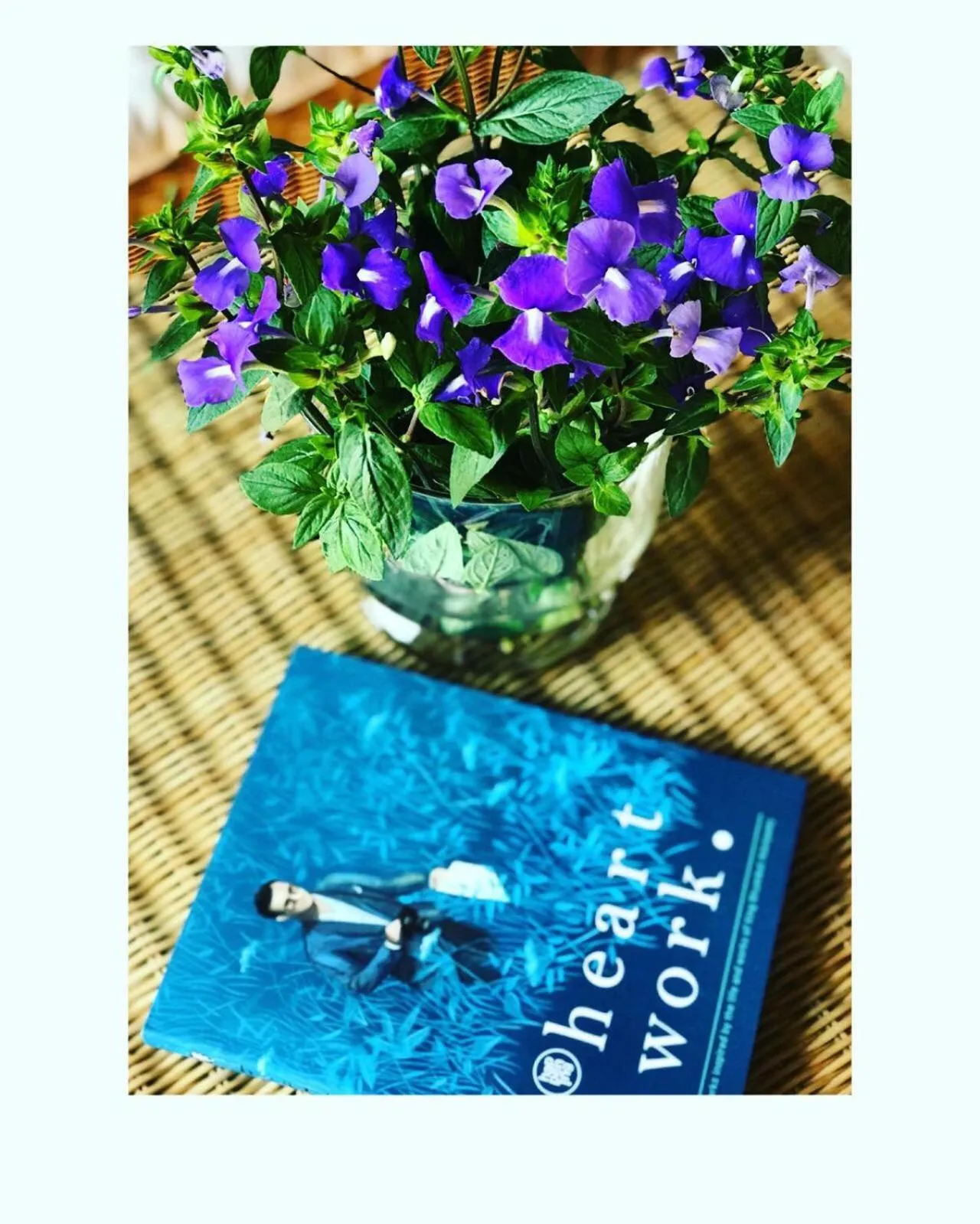 Logo/Certificate/Sign in COOLLiving Farmhouse Organic