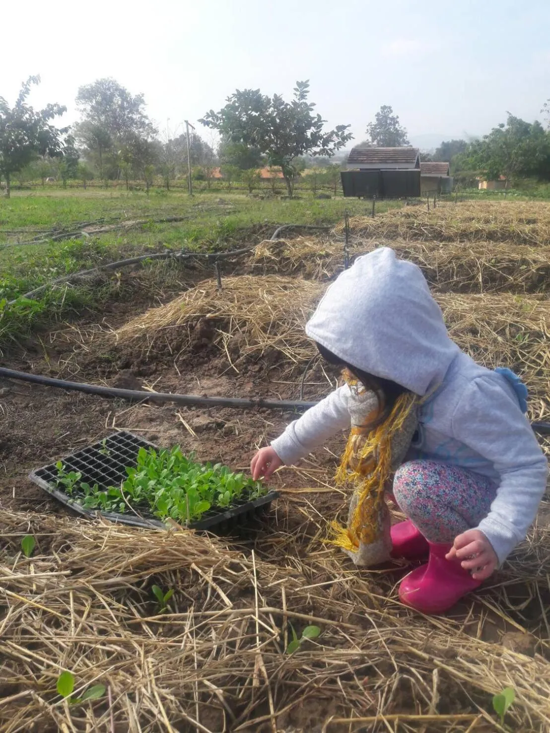 Activities in COOLLiving Farmhouse Organic