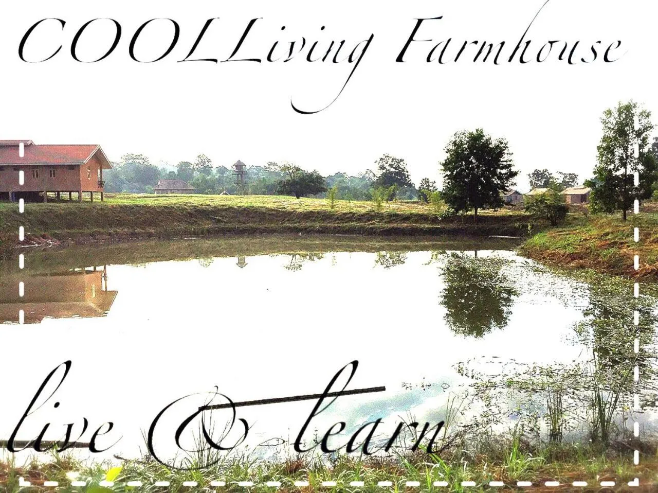 Garden view in COOLLiving Farmhouse Organic