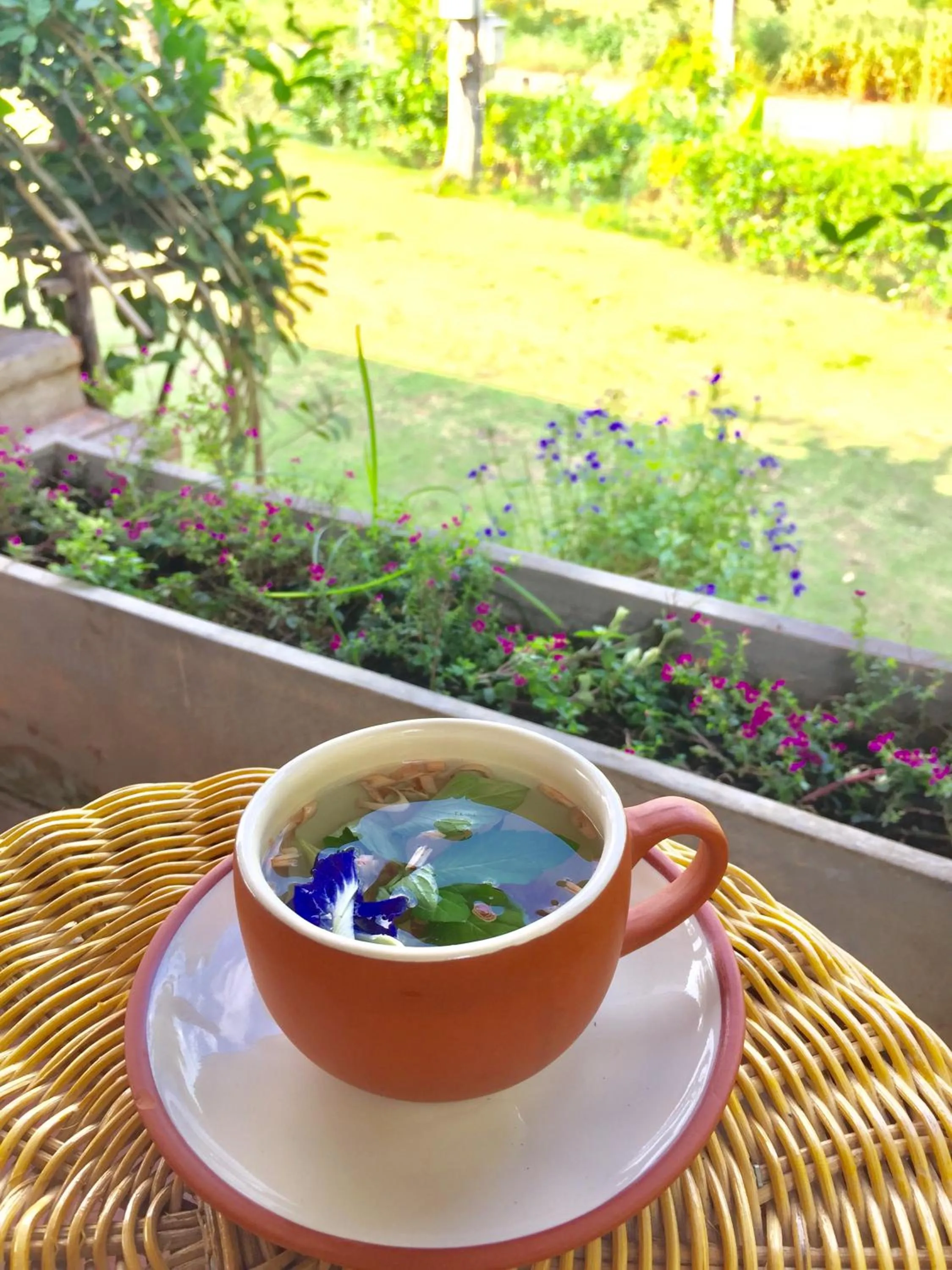 Drinks in COOLLiving Farmhouse Organic