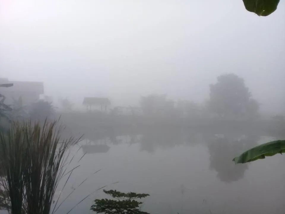 Natural landscape in COOLLiving Farmhouse Organic