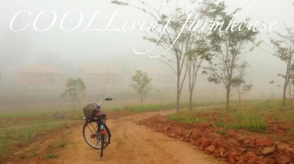 Activities in COOLLiving Farmhouse Organic