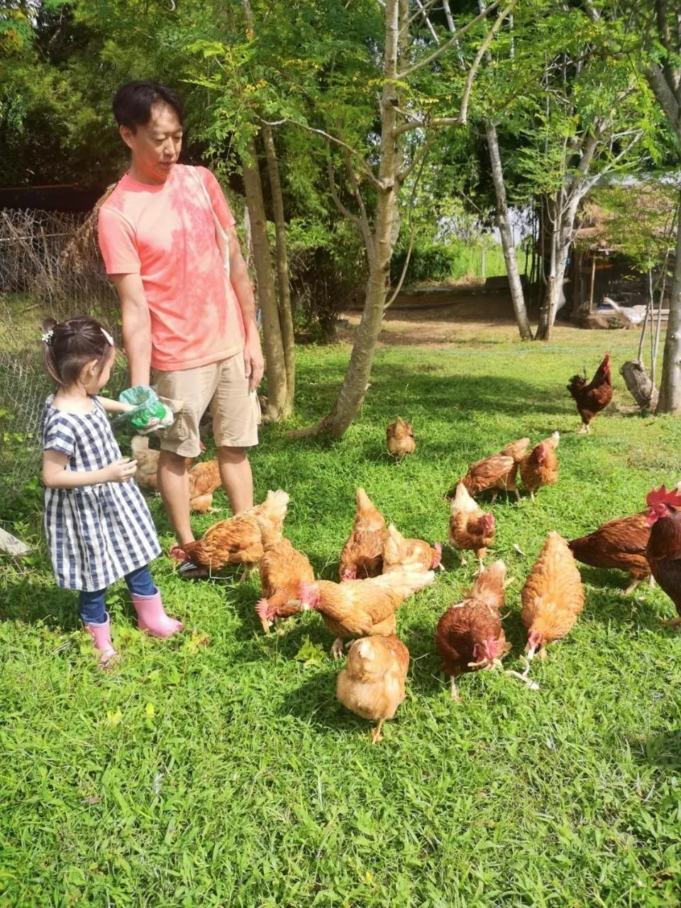 Activities in COOLLiving Farmhouse Organic