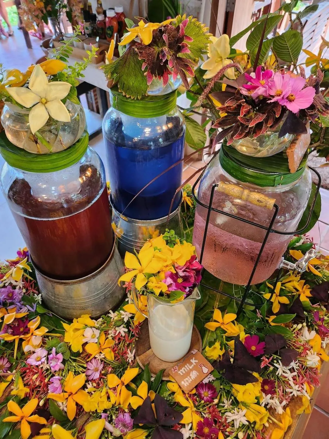 COOLLiving Farmhouse Organic