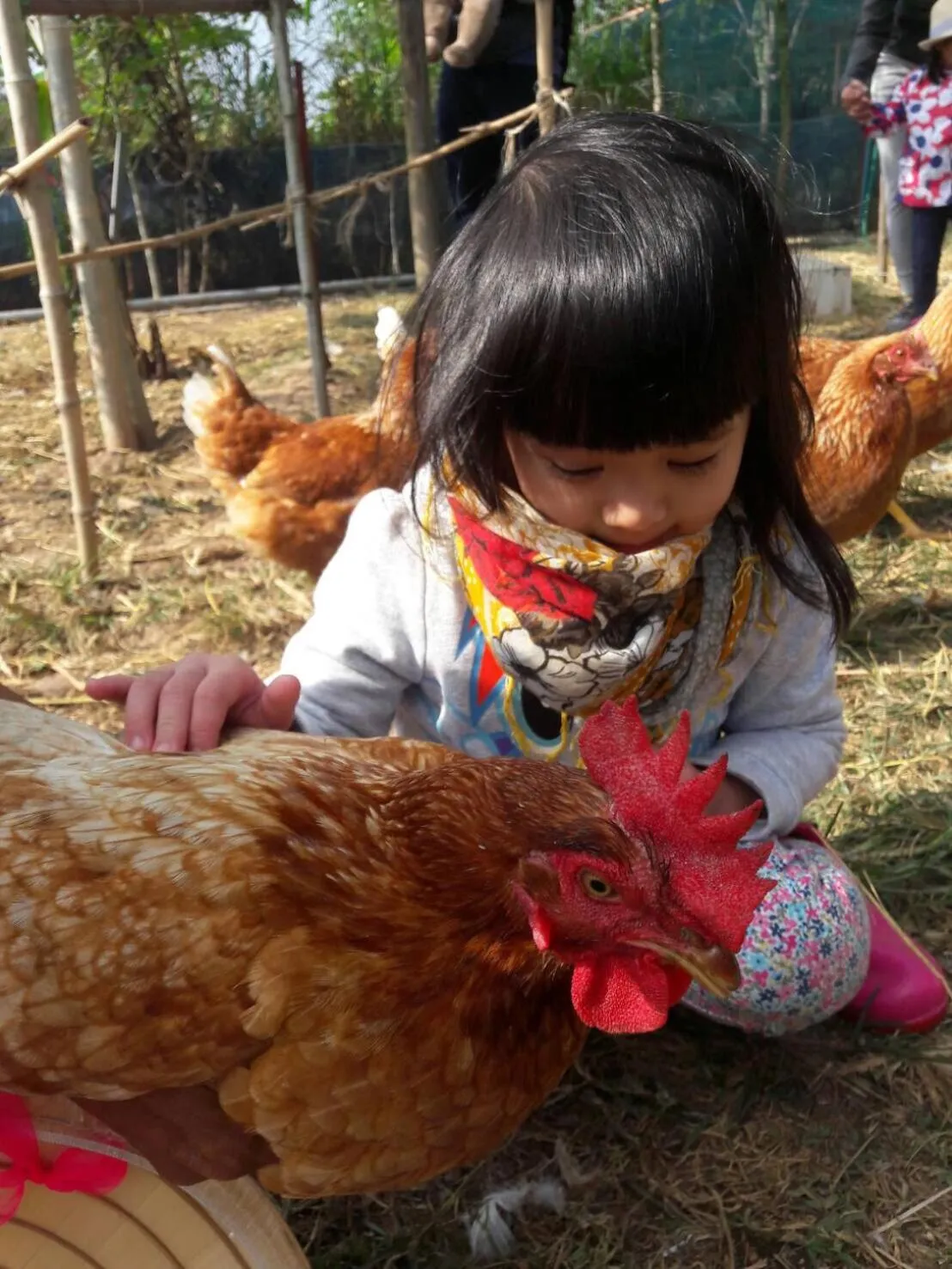 Activities in COOLLiving Farmhouse Organic