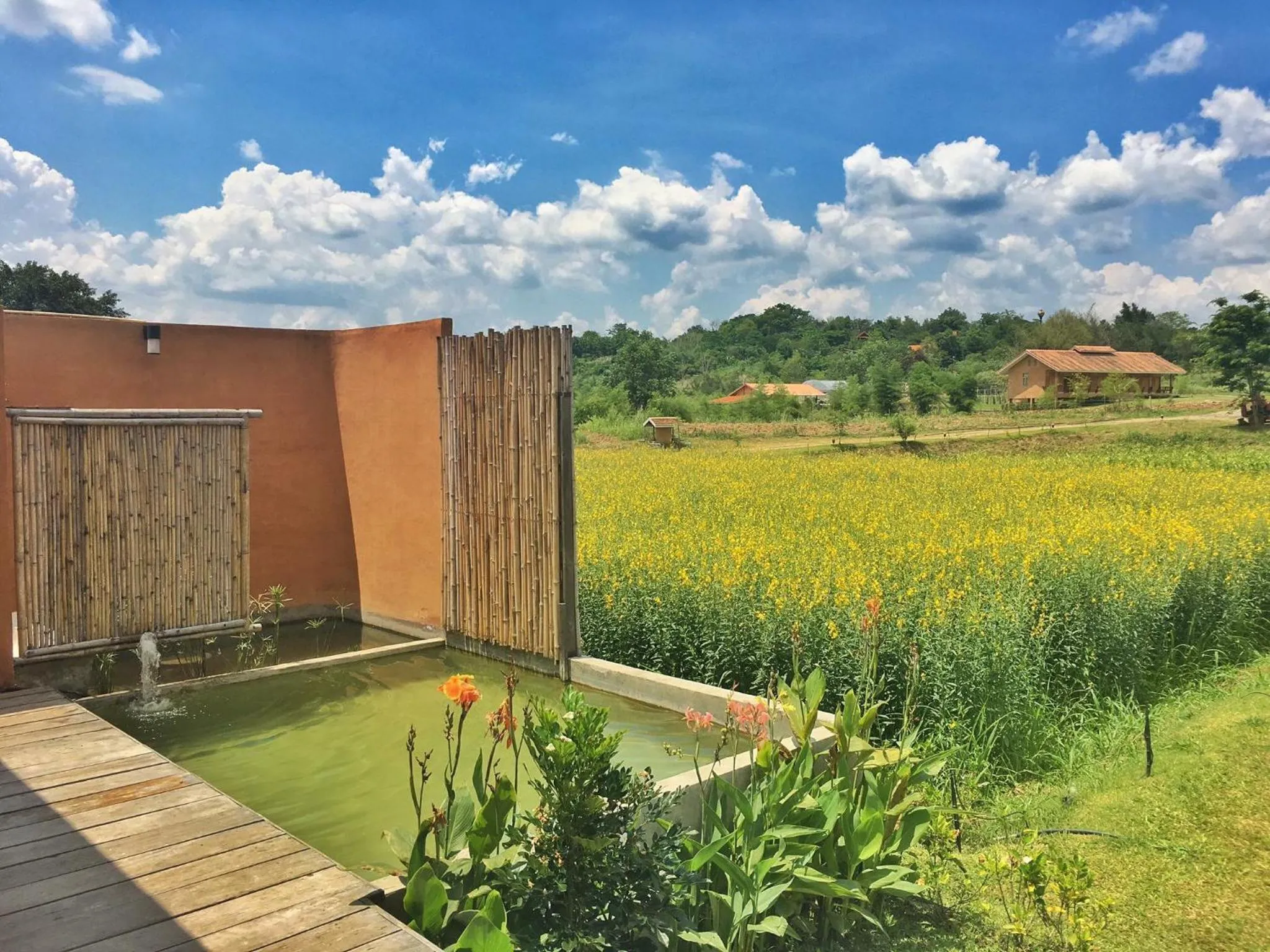 Patio in COOLLiving Farmhouse Organic