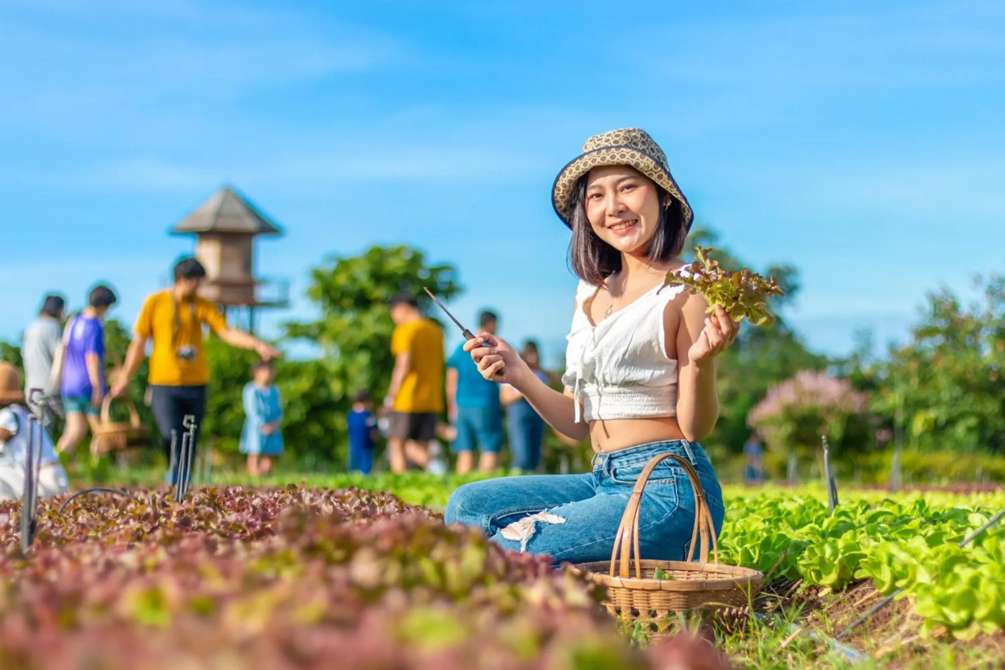 View (from property/room) in COOLLiving Farmhouse Organic