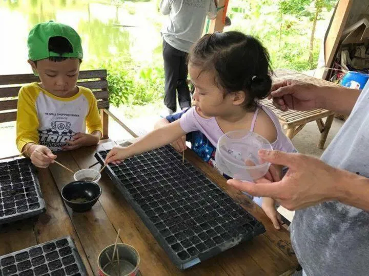 Entertainment in COOLLiving Farmhouse Organic