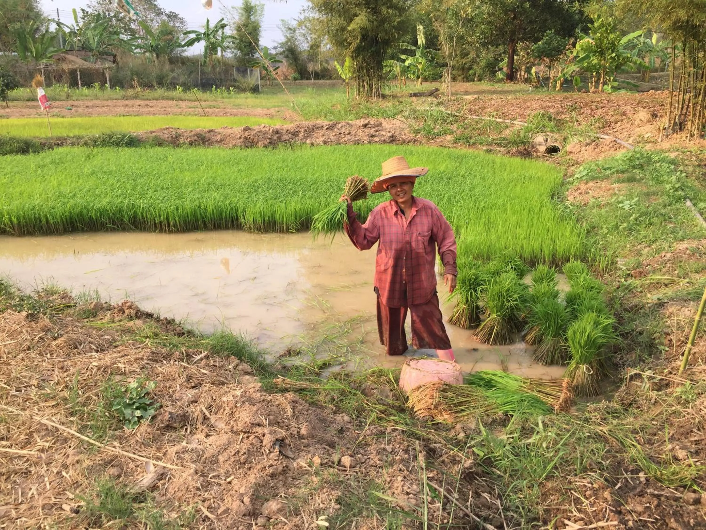 People in COOLLiving Farmhouse Organic