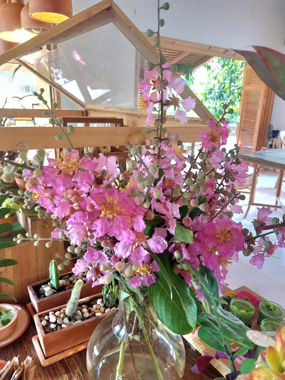 Restaurant/places to eat in COOLLiving Farmhouse Organic