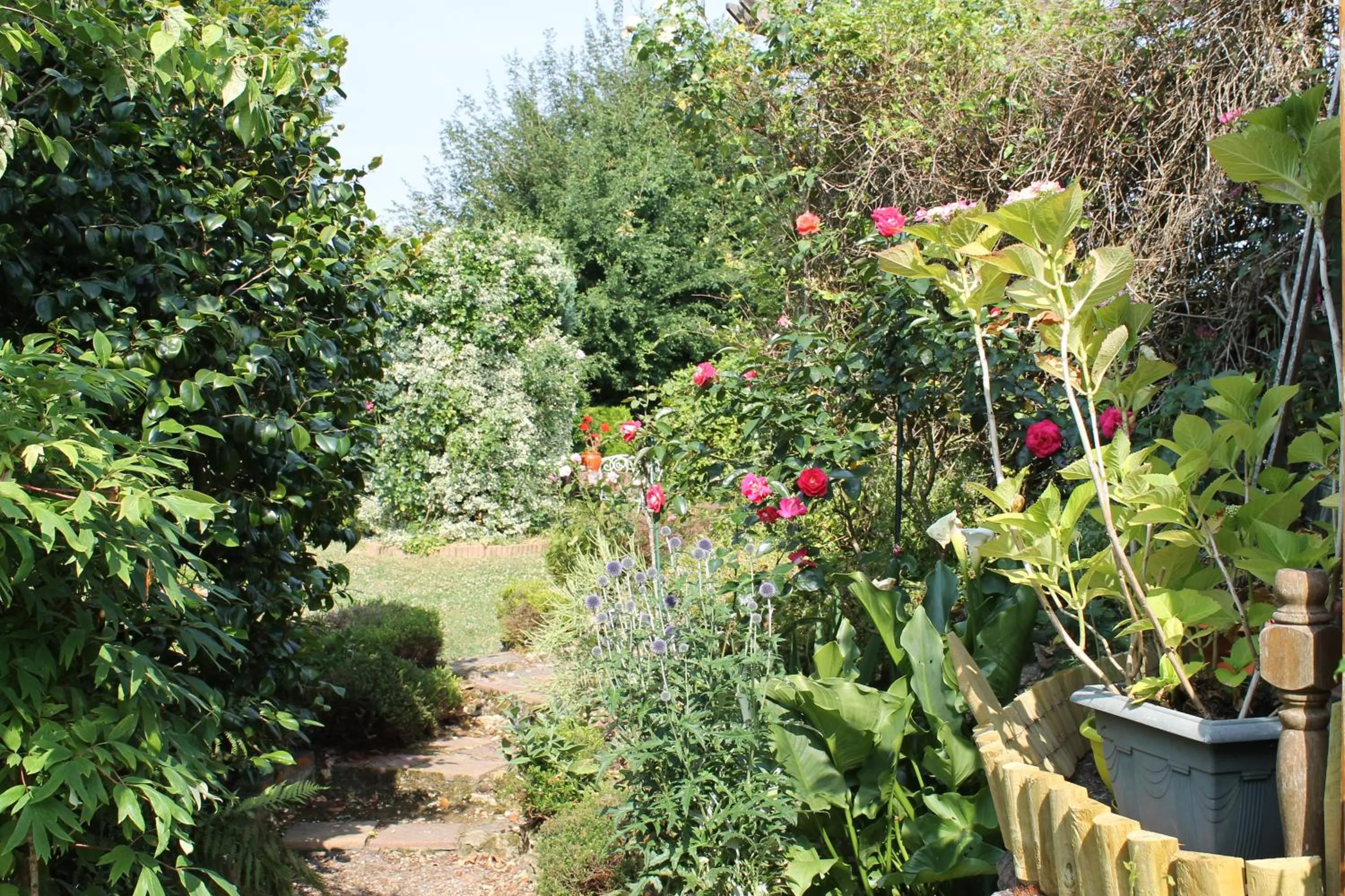 Chambre d'Hôtes "Orchidees"