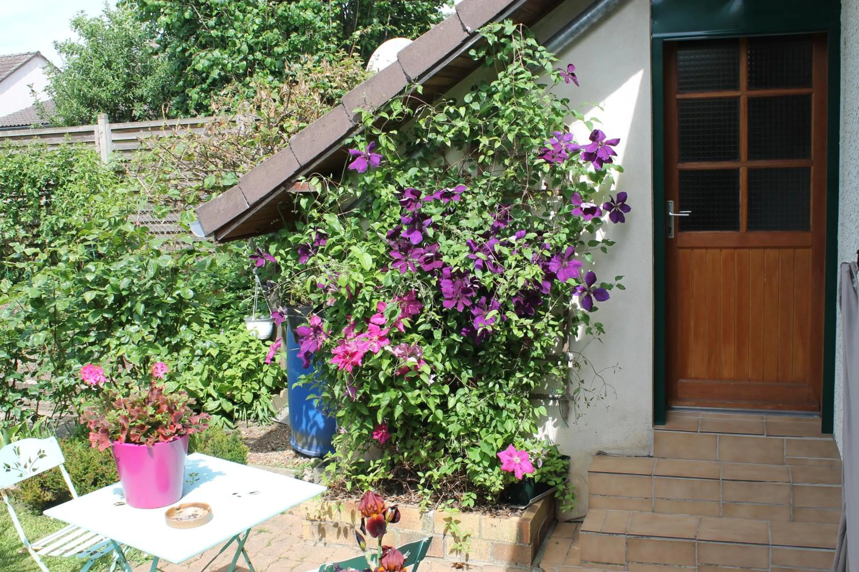 Chambre d'Hôtes "Orchidees"