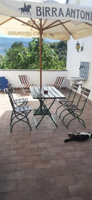 DOMINO HOUSE Montariello