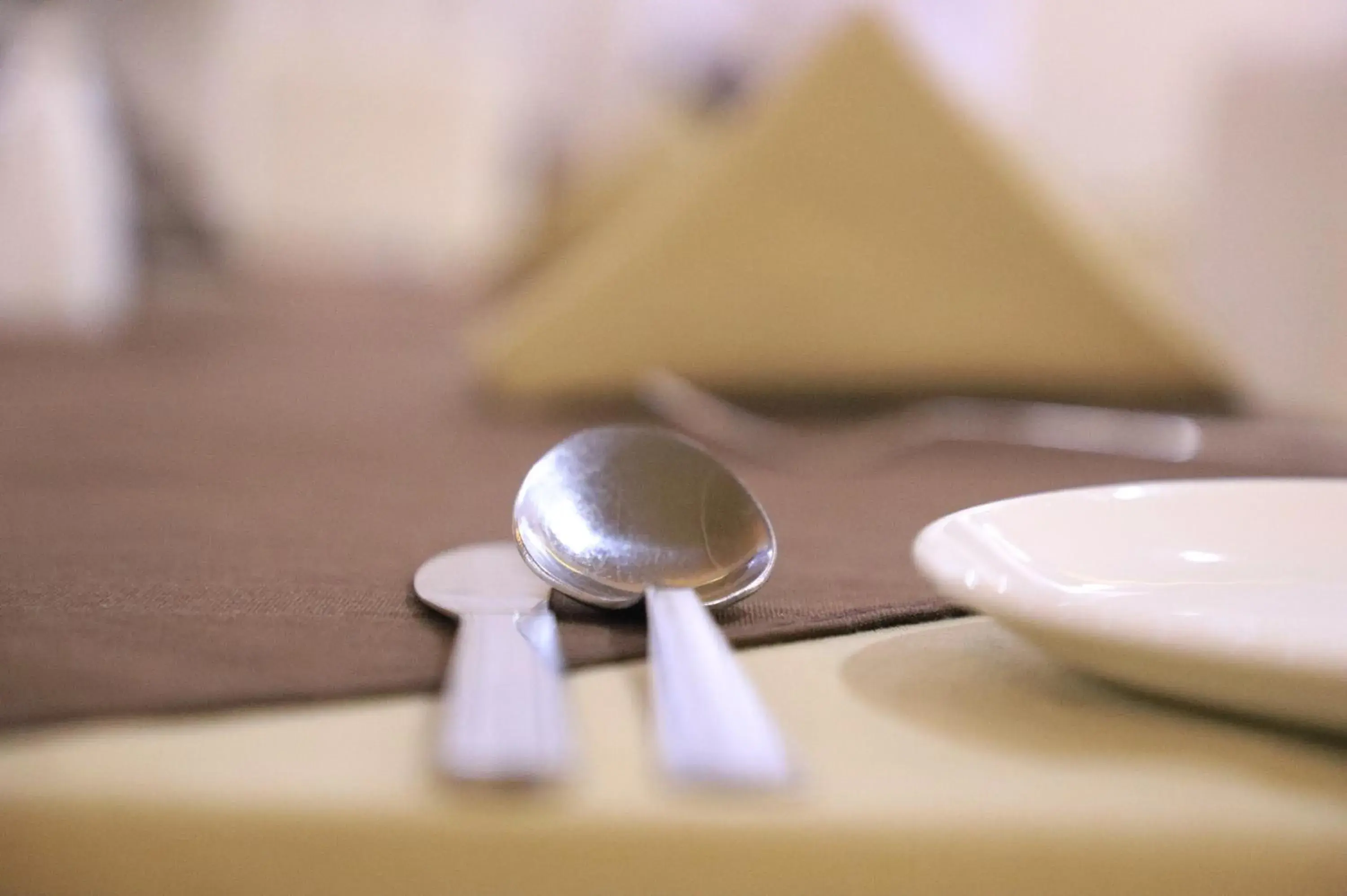 Restaurant/places to eat in Hotel Pushkar Legacy Restaurant/places to eat in Hotel Pushkar Legacy