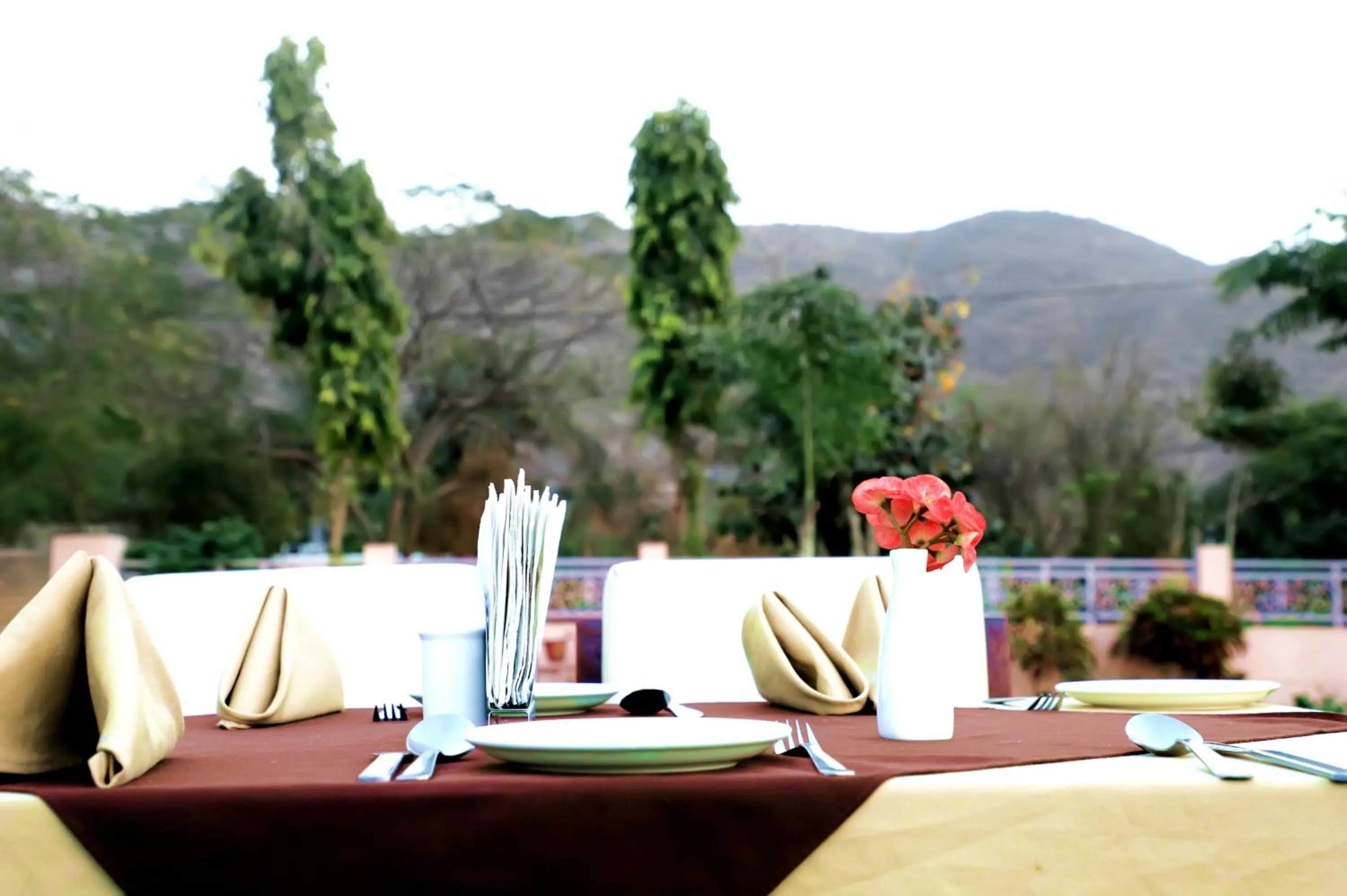 Garden in Hotel Pushkar Legacy