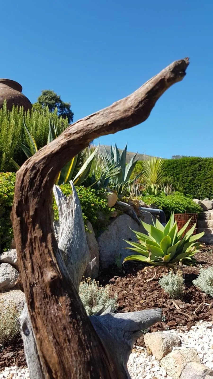 Garden in Pirilampo