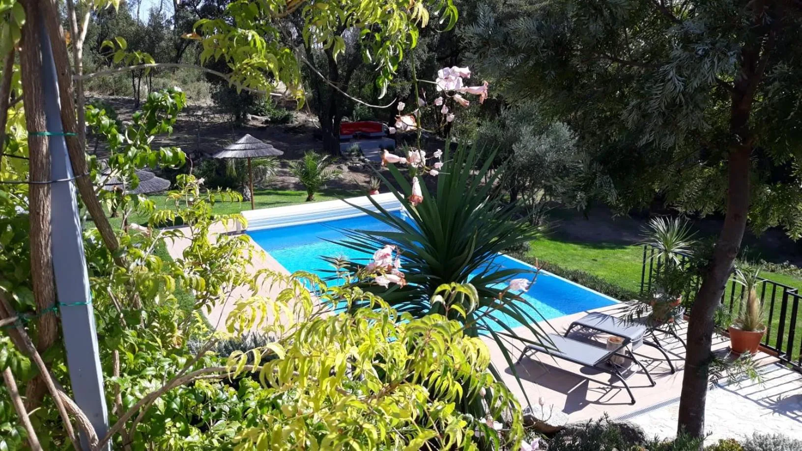 Swimming pool in Pirilampo