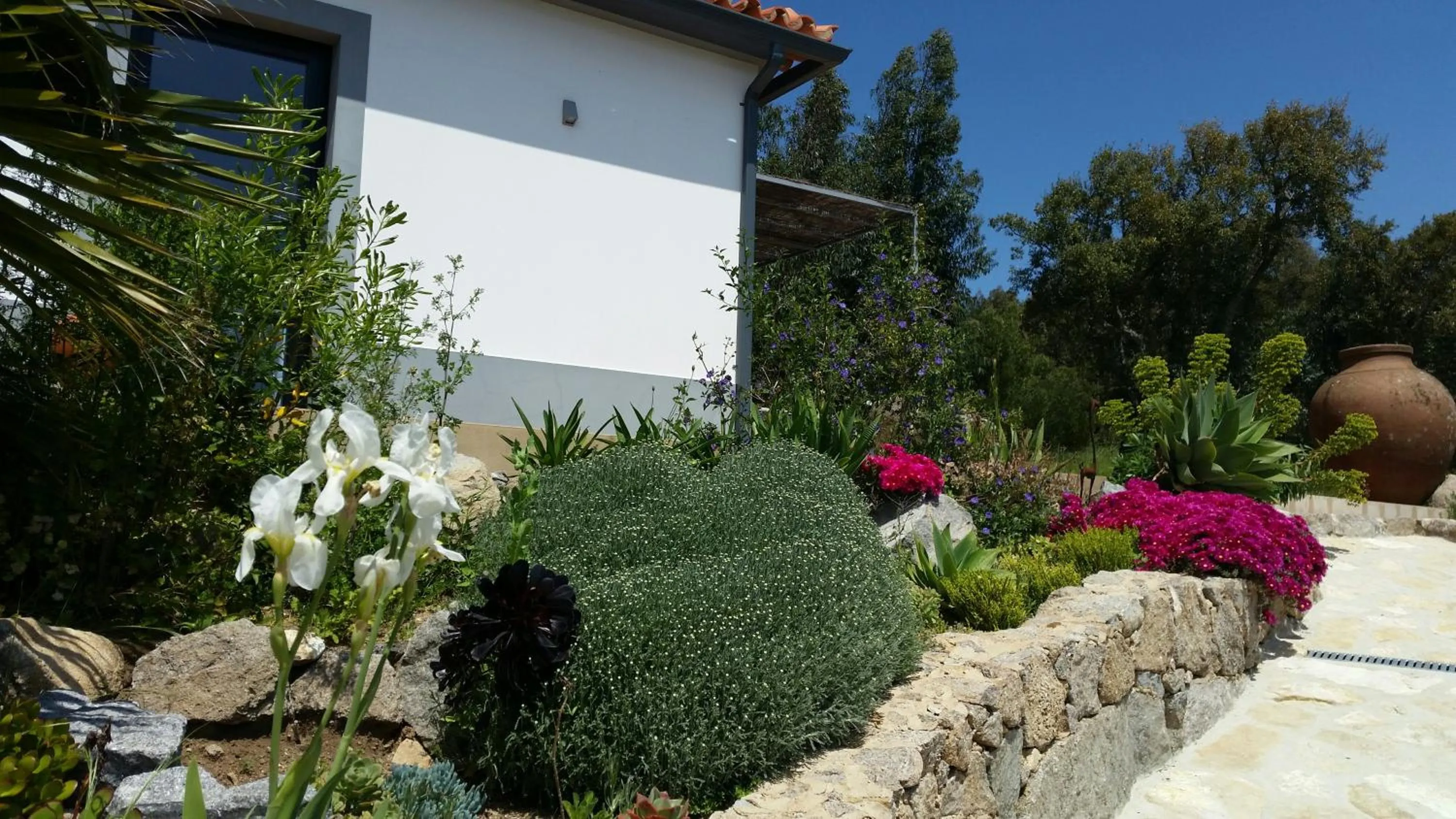Garden in Pirilampo