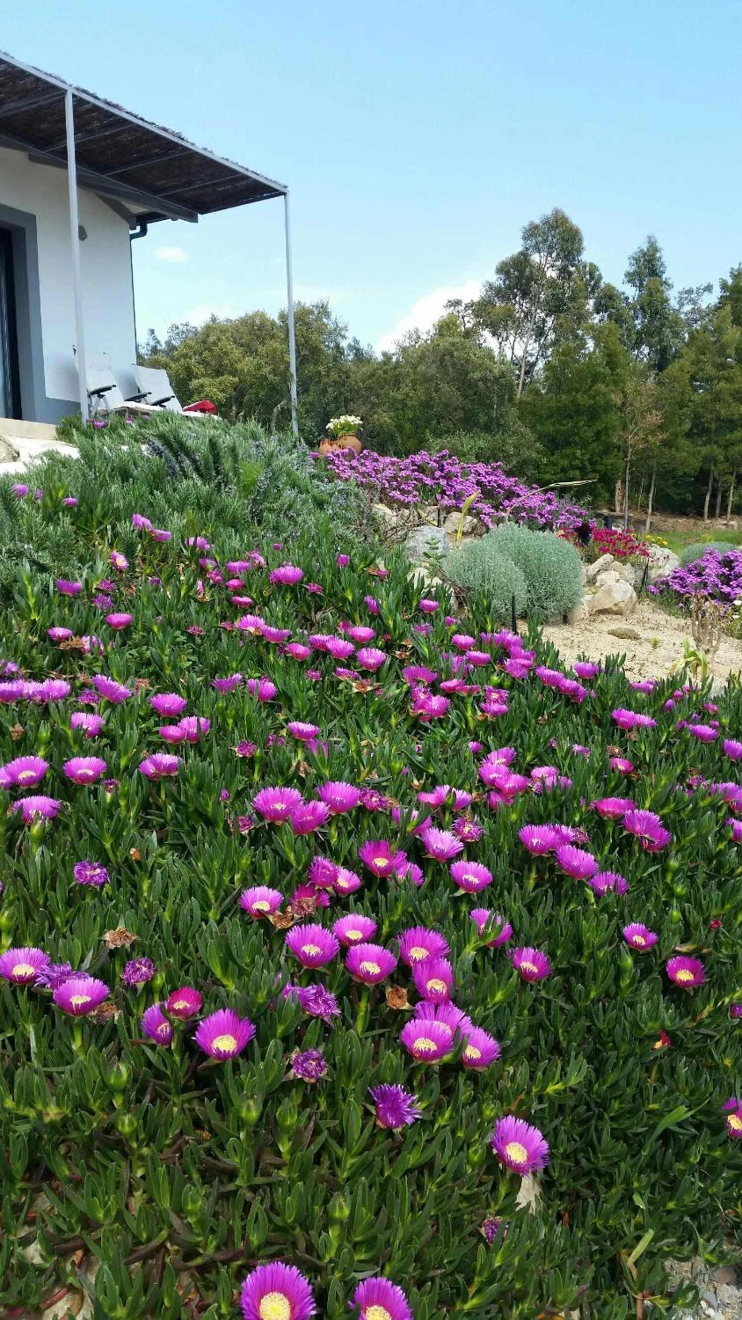 Garden view in Pirilampo