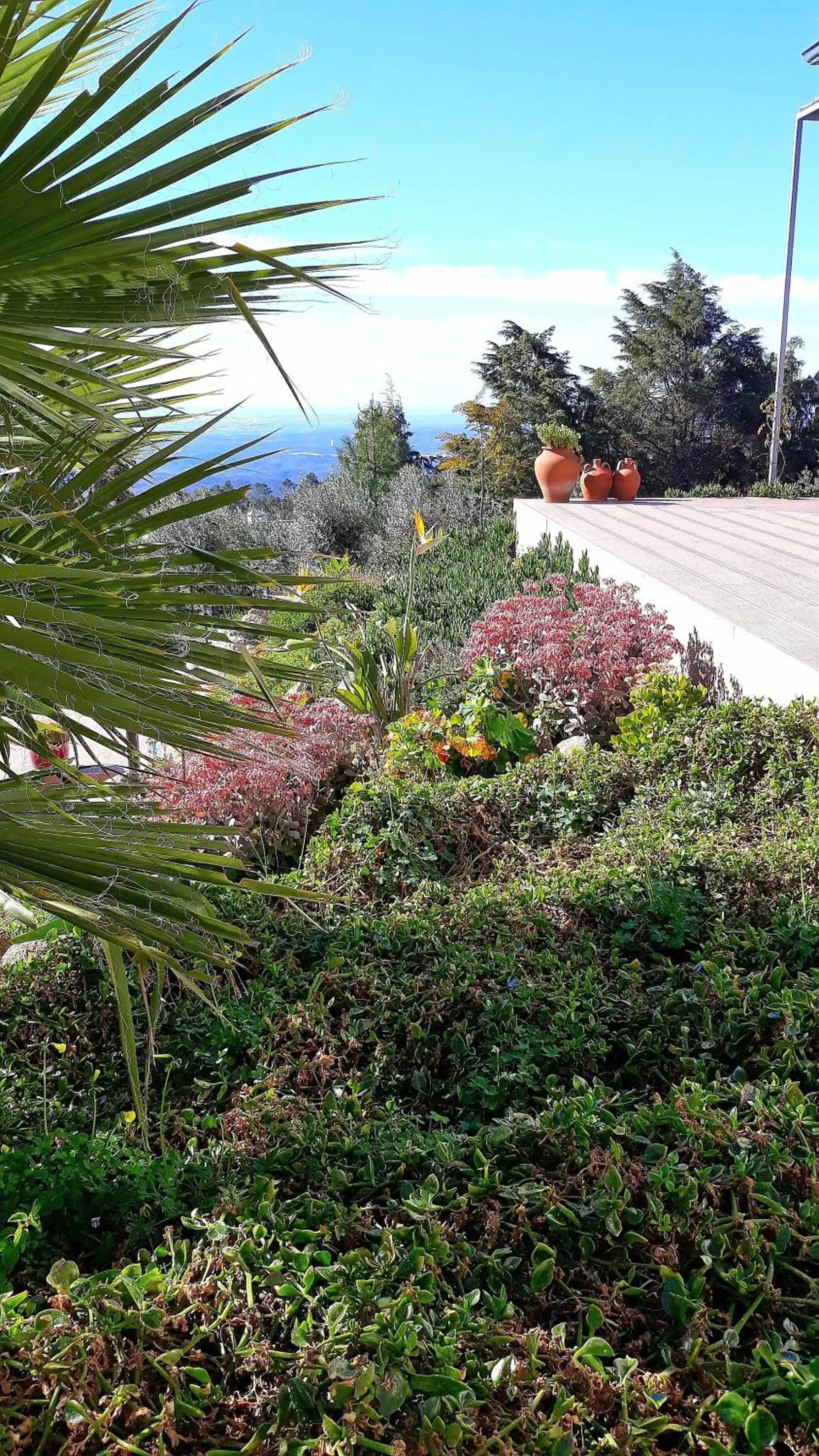 Garden in Pirilampo