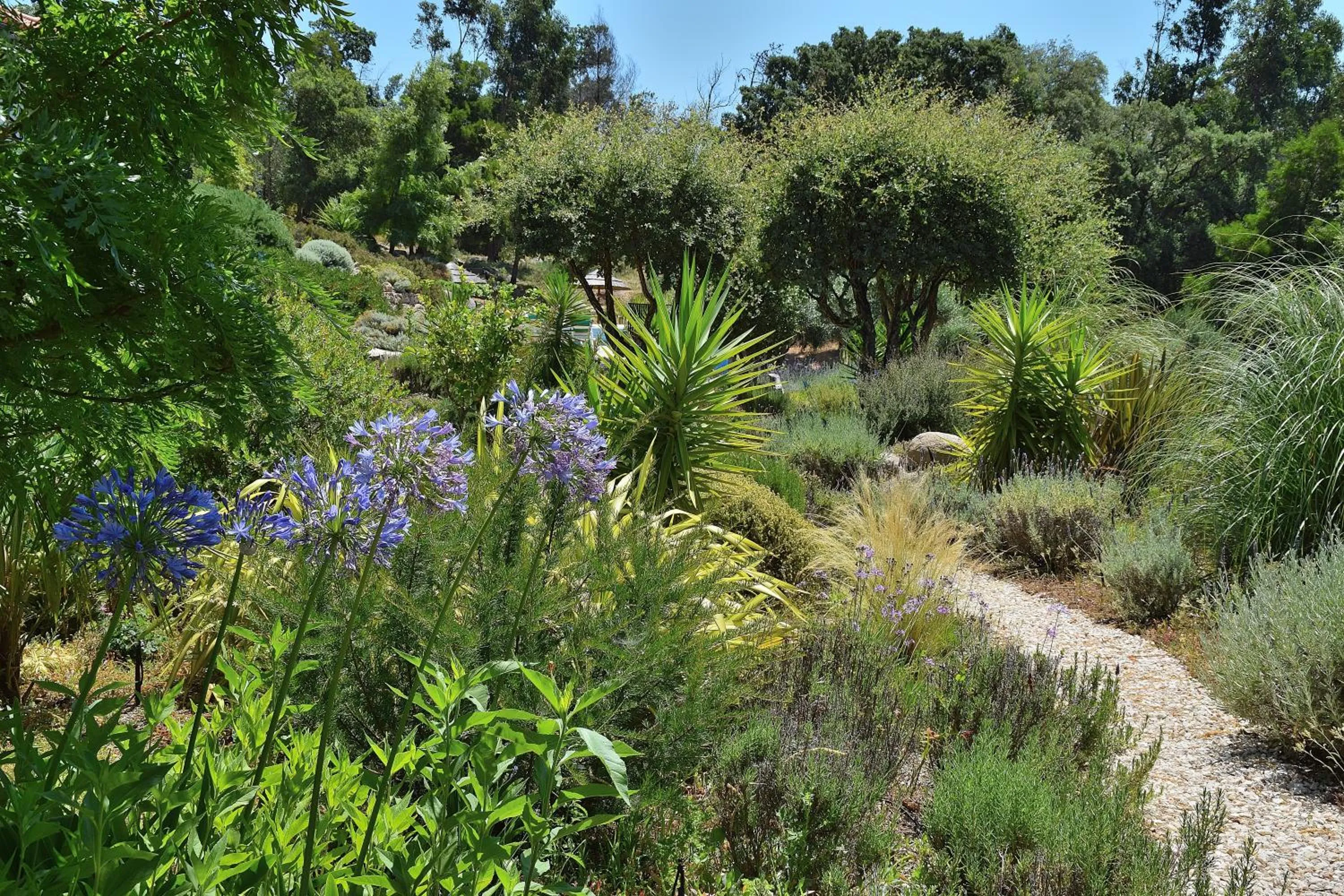 Garden in Pirilampo