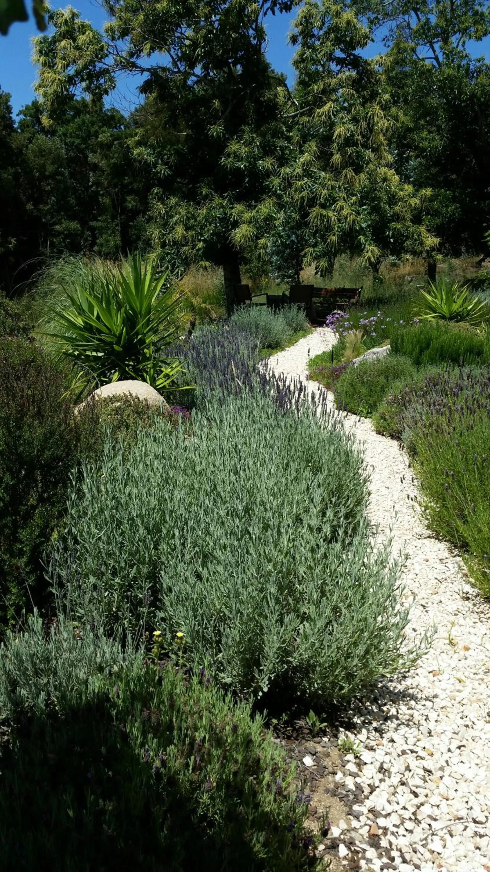 Garden view in Pirilampo