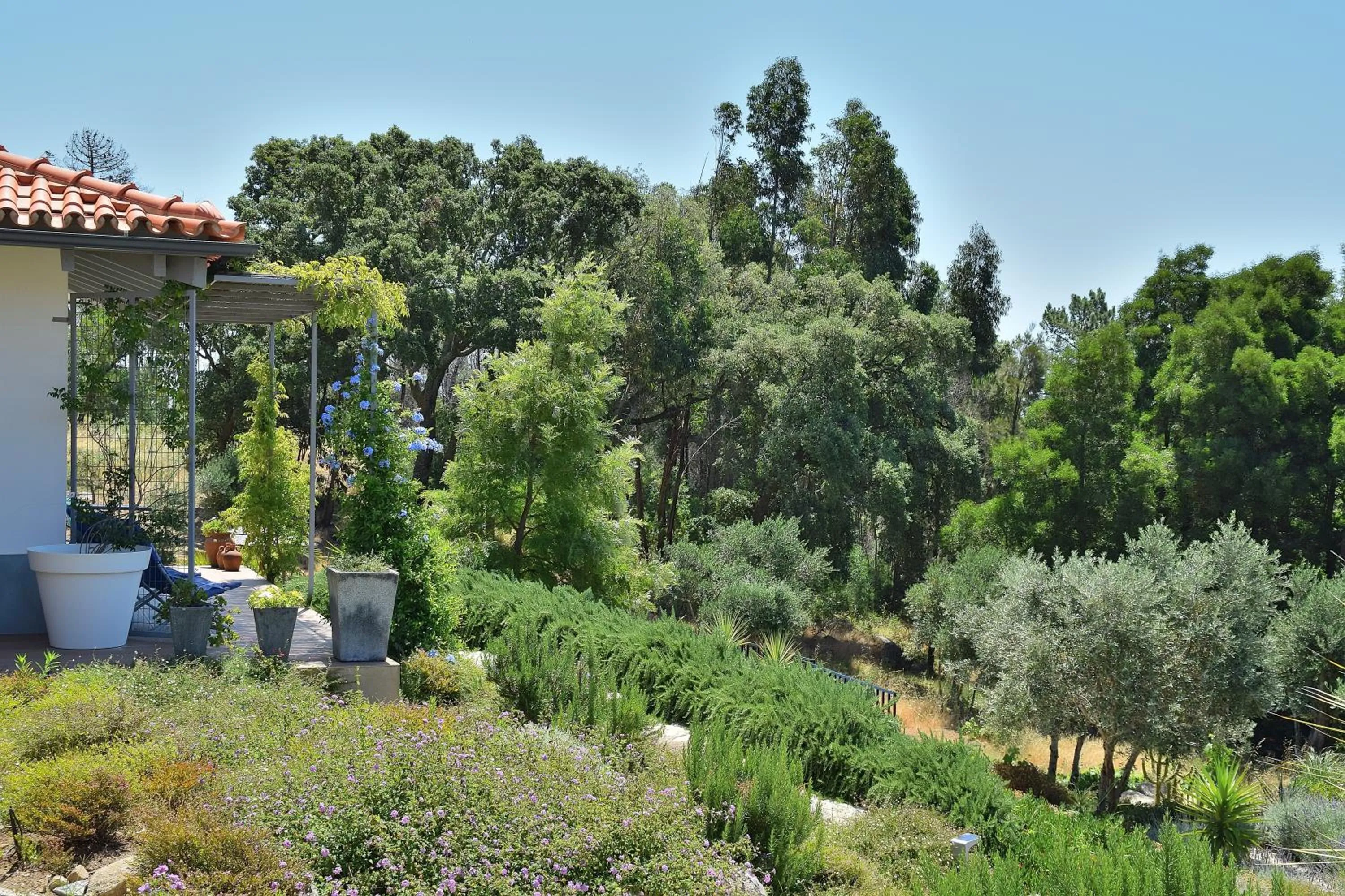 Garden in Pirilampo