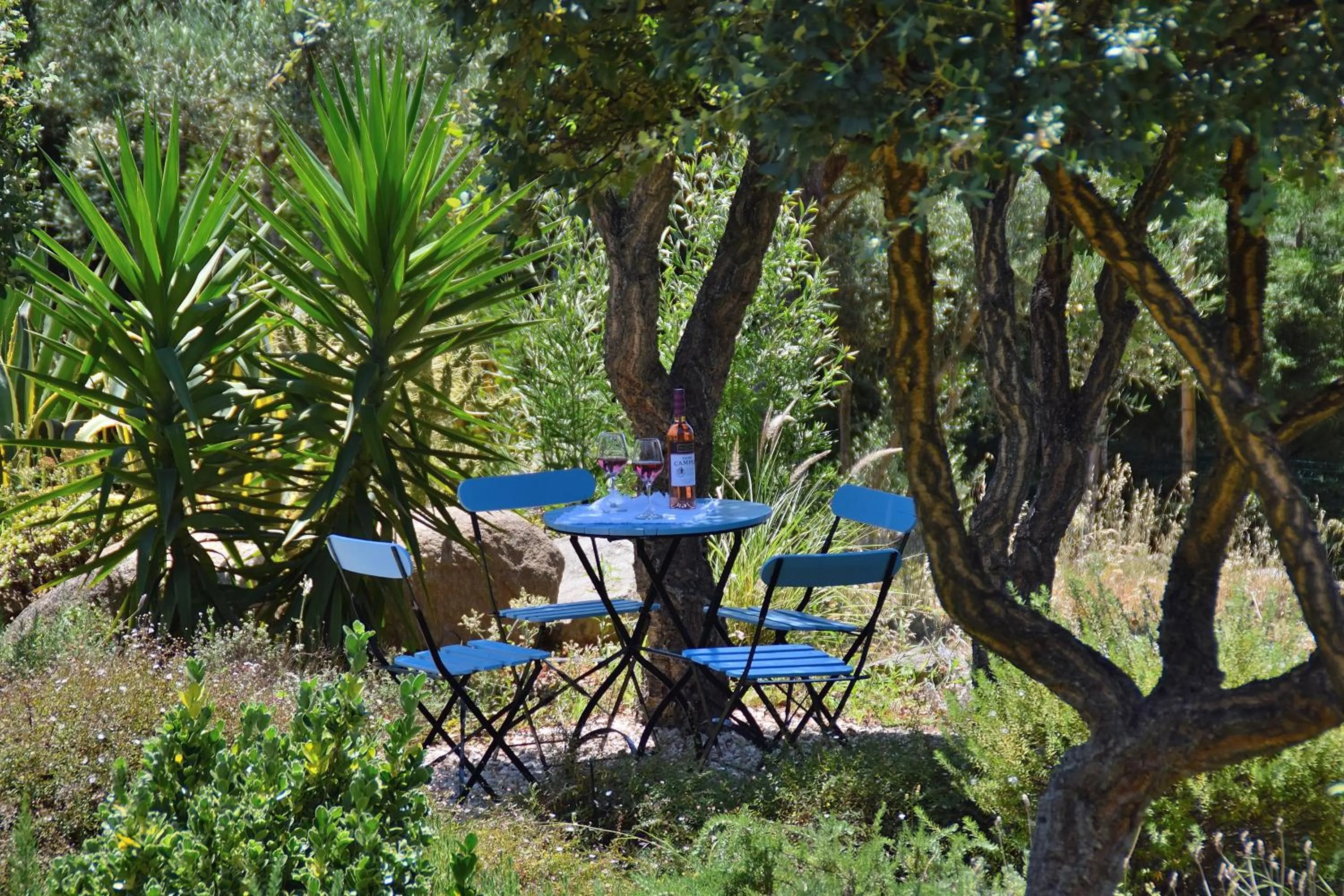Garden in Pirilampo