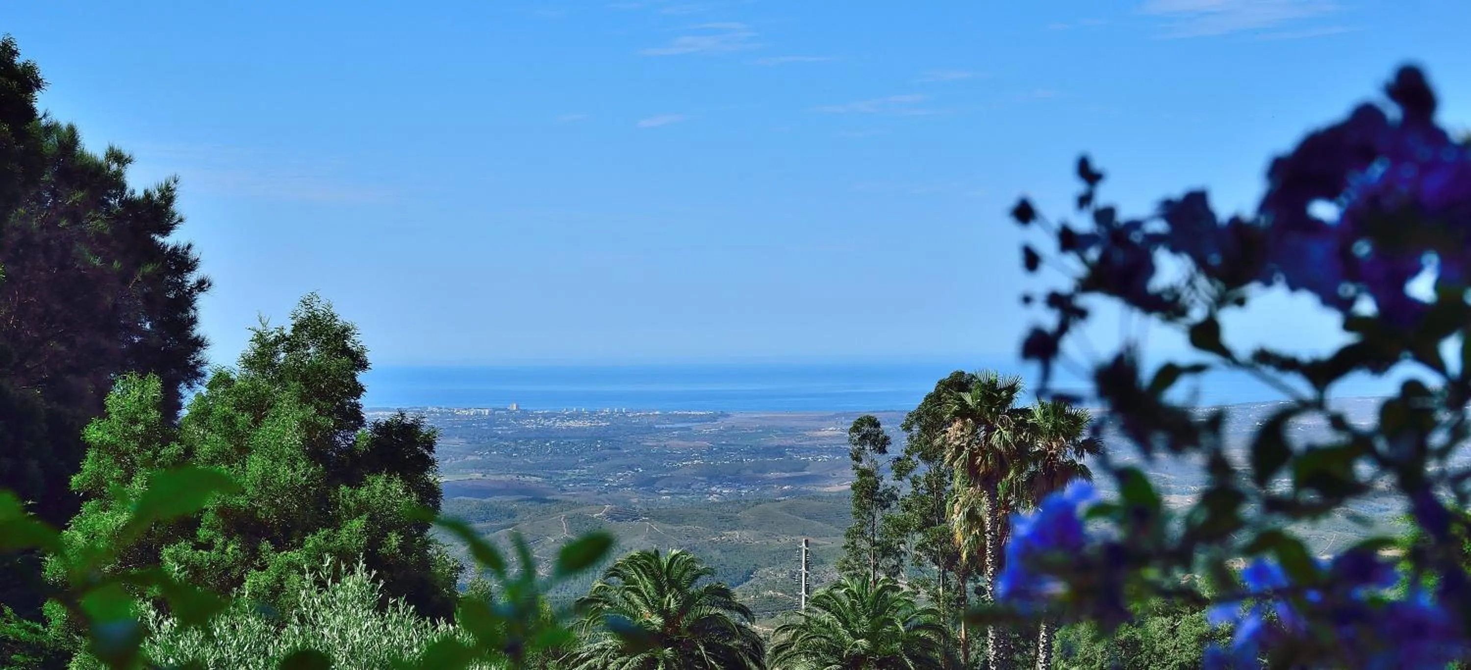View (from property/room) in Pirilampo