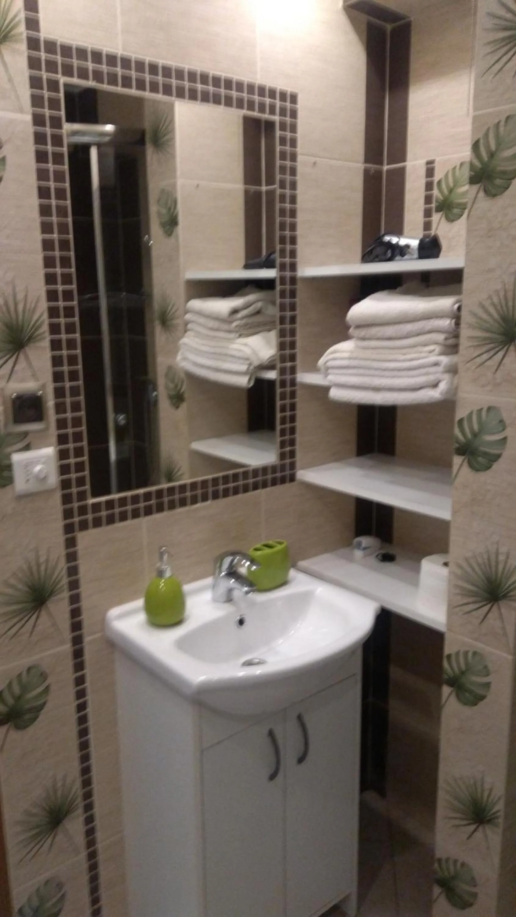 Shower in Apartament U Janusza