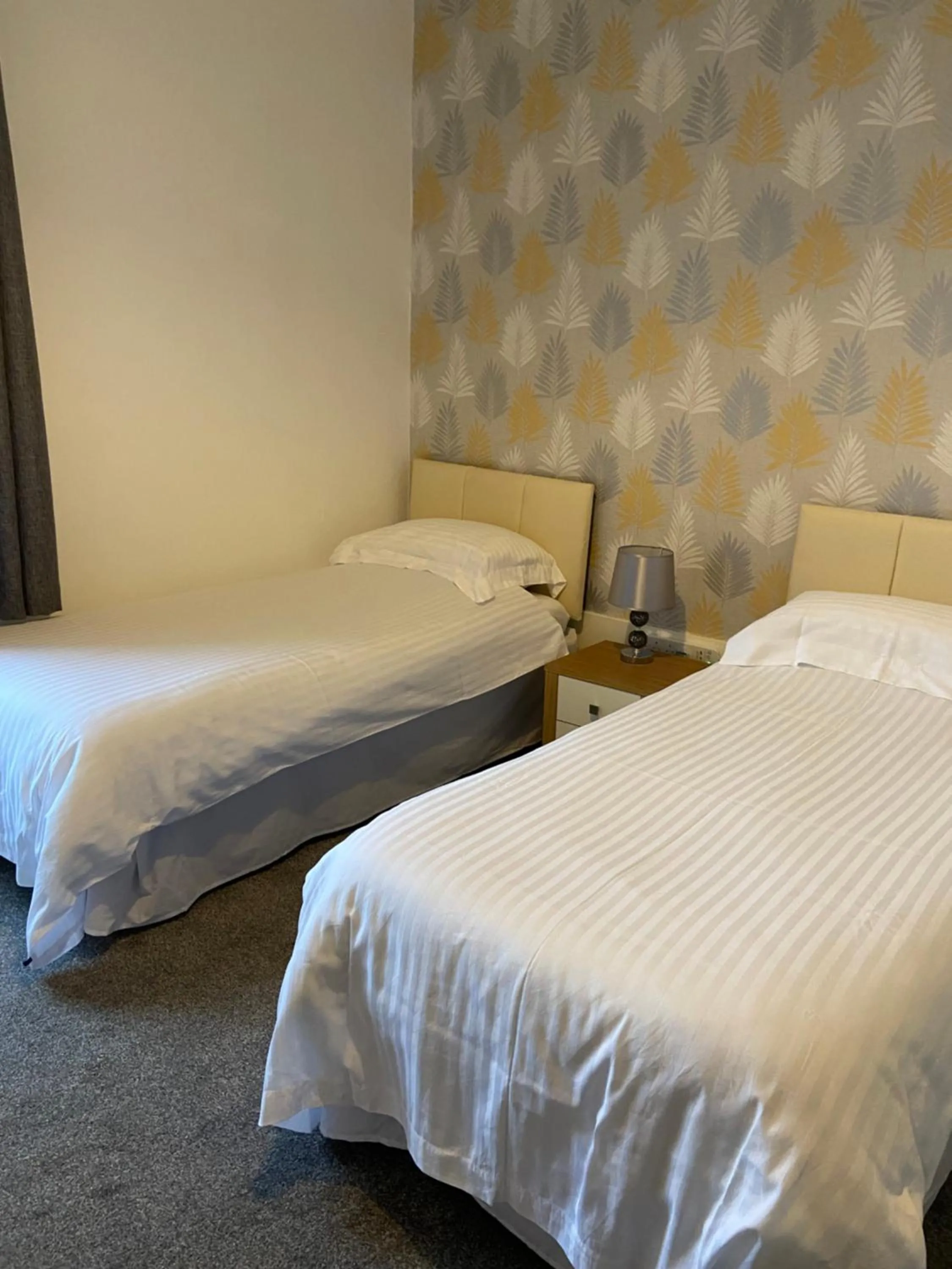 Twin Room with Bathroom - single occupancy in Belhaven Private Hotel