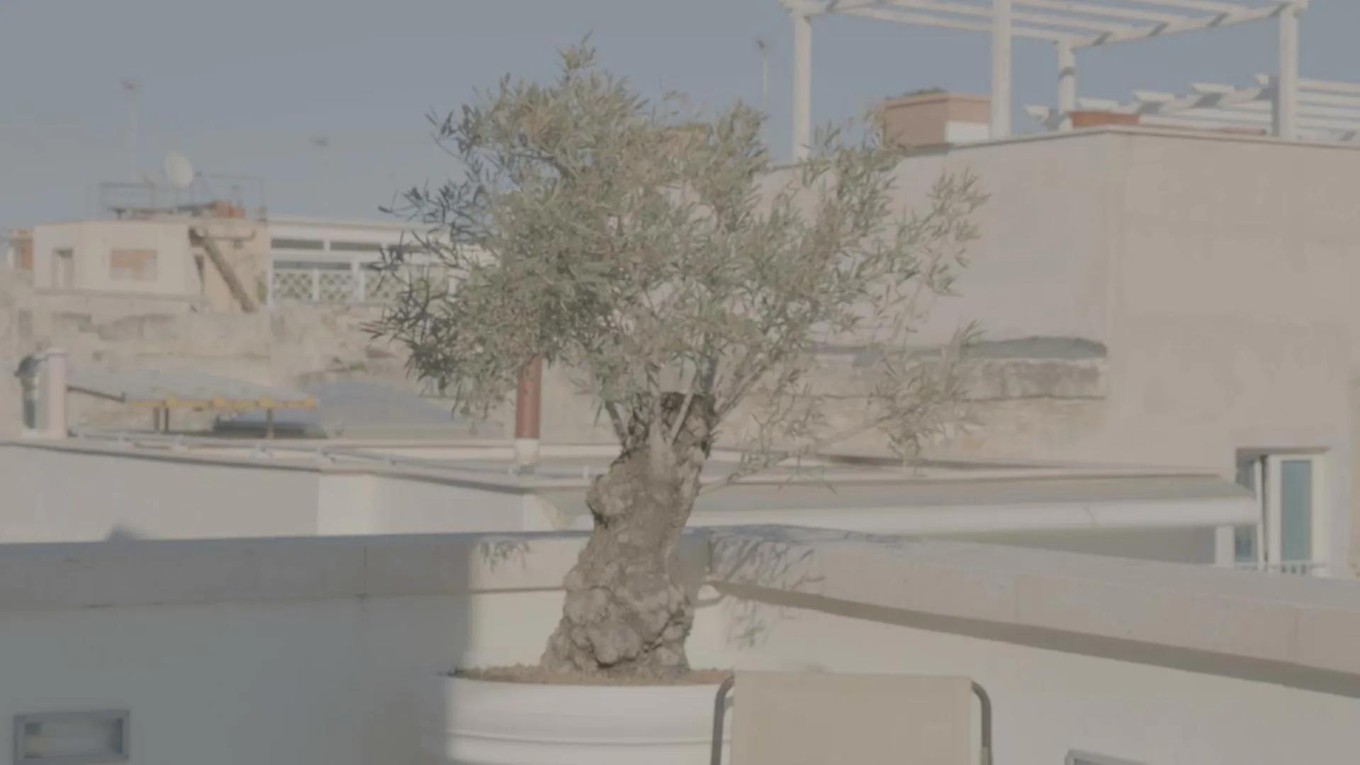 Property building in B&B re apartments Palazzo Muscati