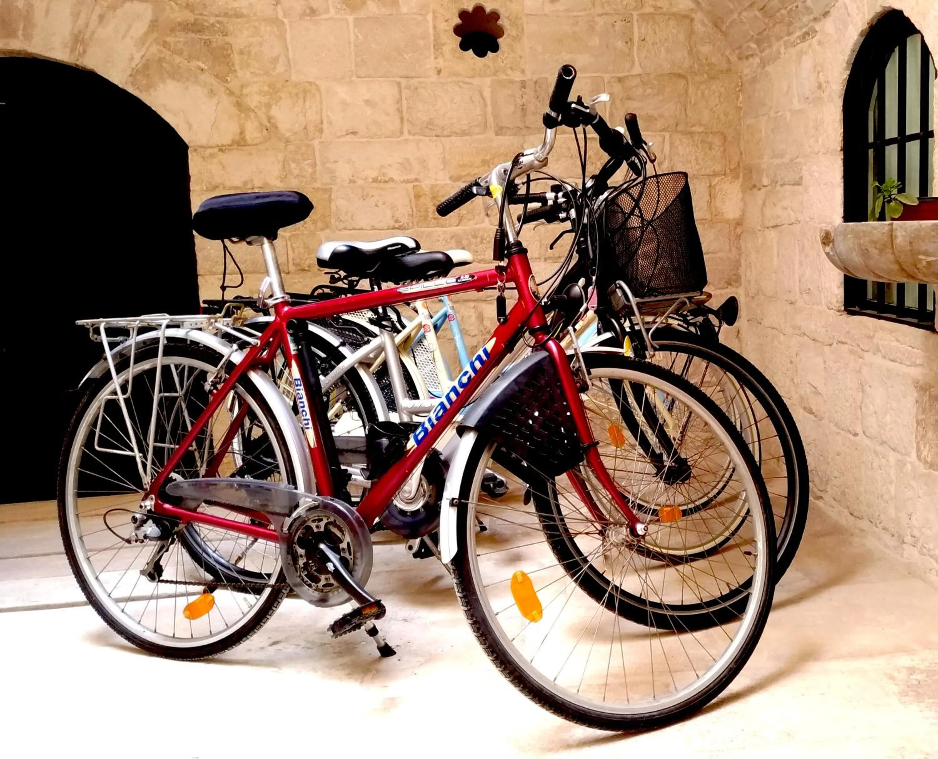 Cycling in B&B re apartments Palazzo Muscati