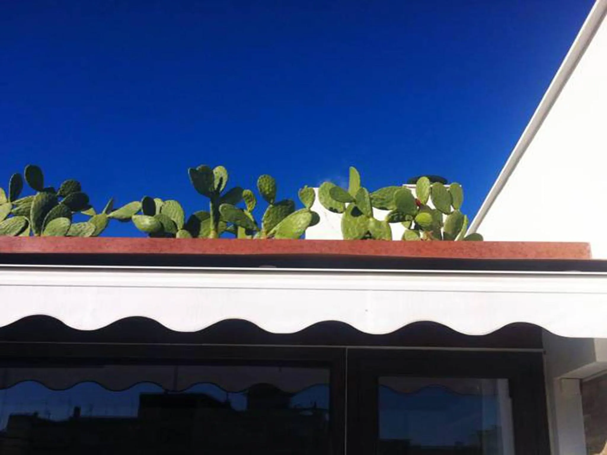 Day in B&B re apartments Palazzo Muscati