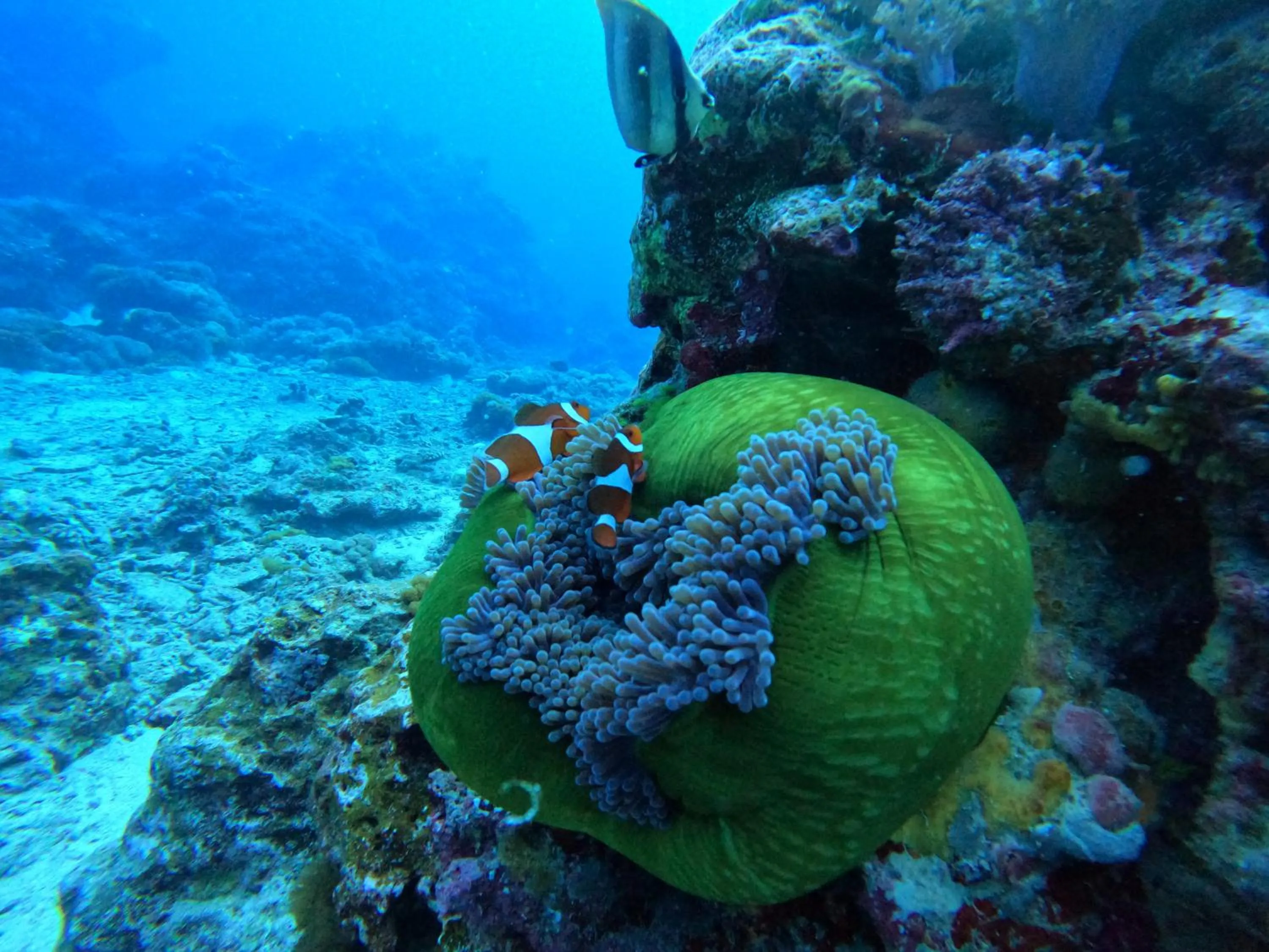 Good Viewing Spot B&B