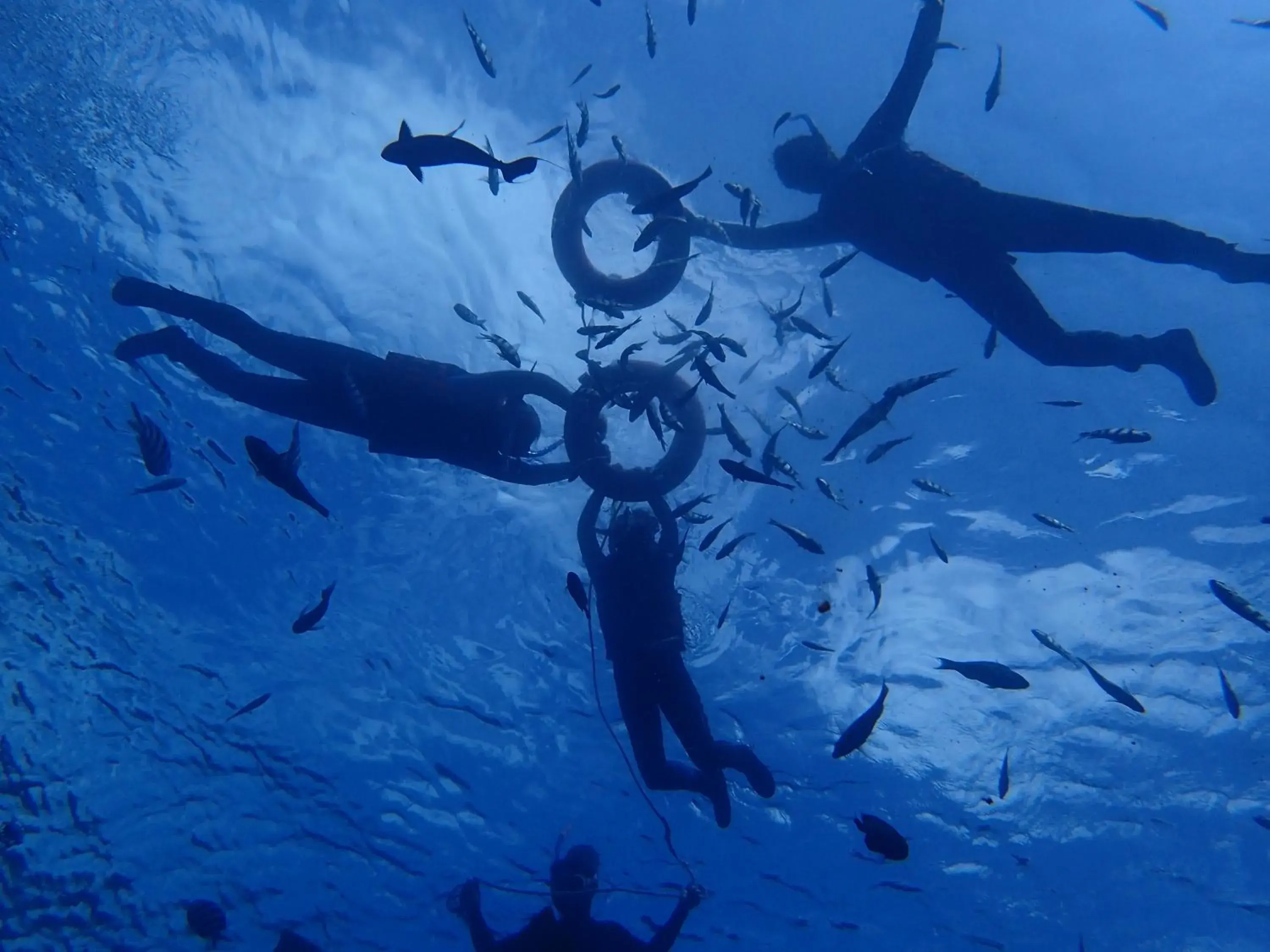 Good Viewing Spot B&B Good Viewing Spot B&B