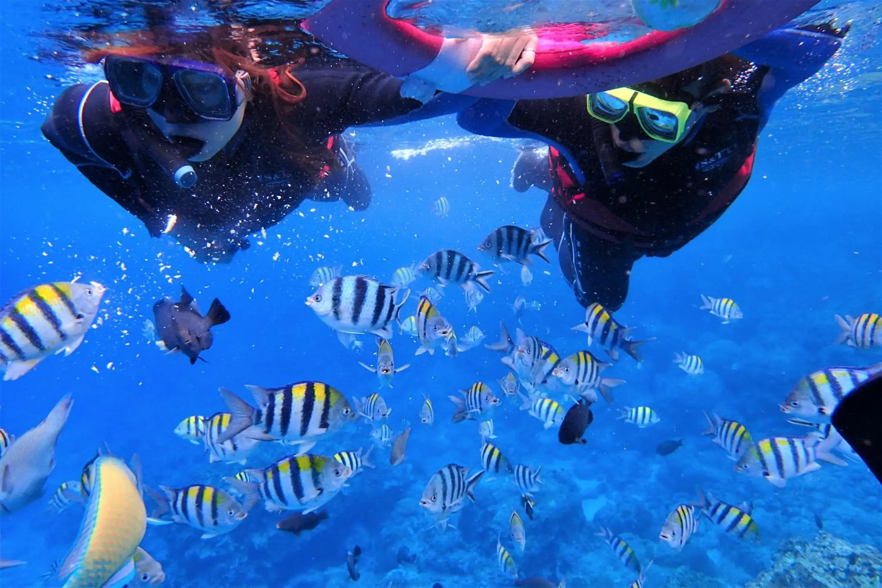 Good Viewing Spot B&B Good Viewing Spot B&B