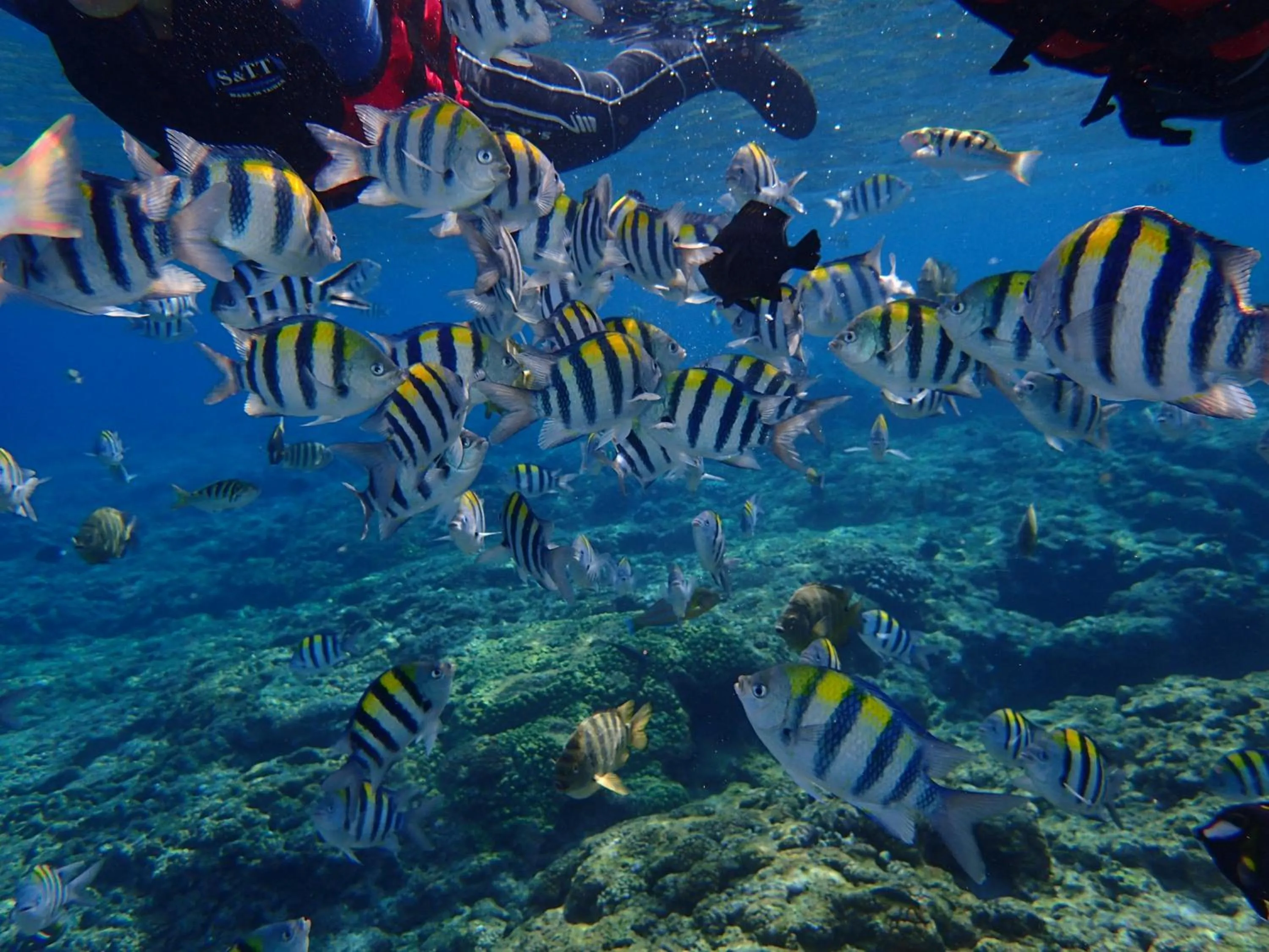 Good Viewing Spot B&B