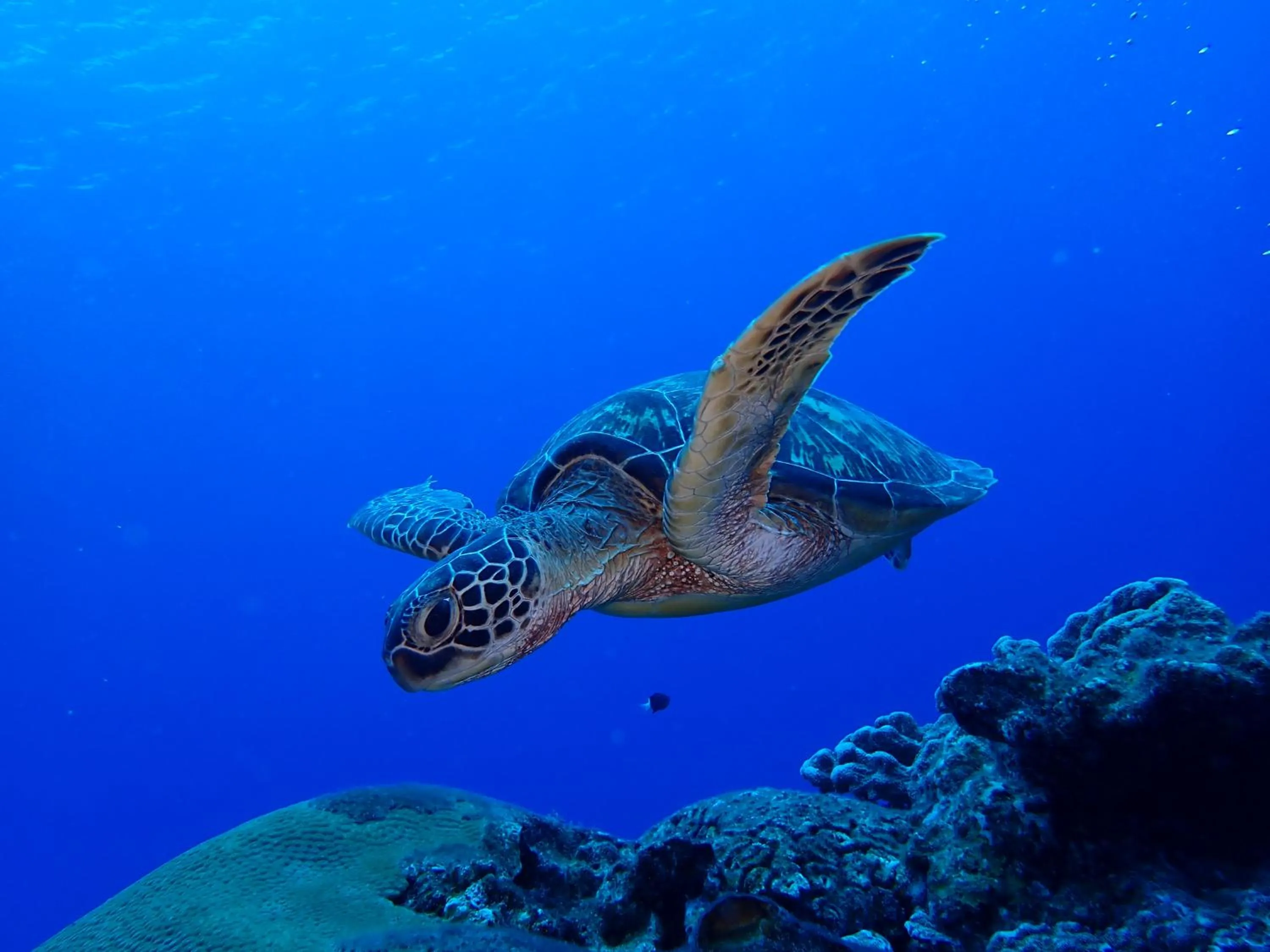 Good Viewing Spot B&B