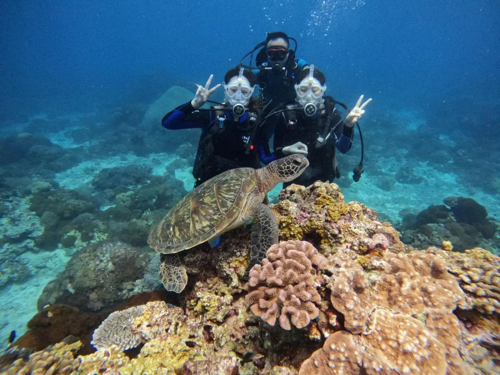 Good Viewing Spot B&B Good Viewing Spot B&B