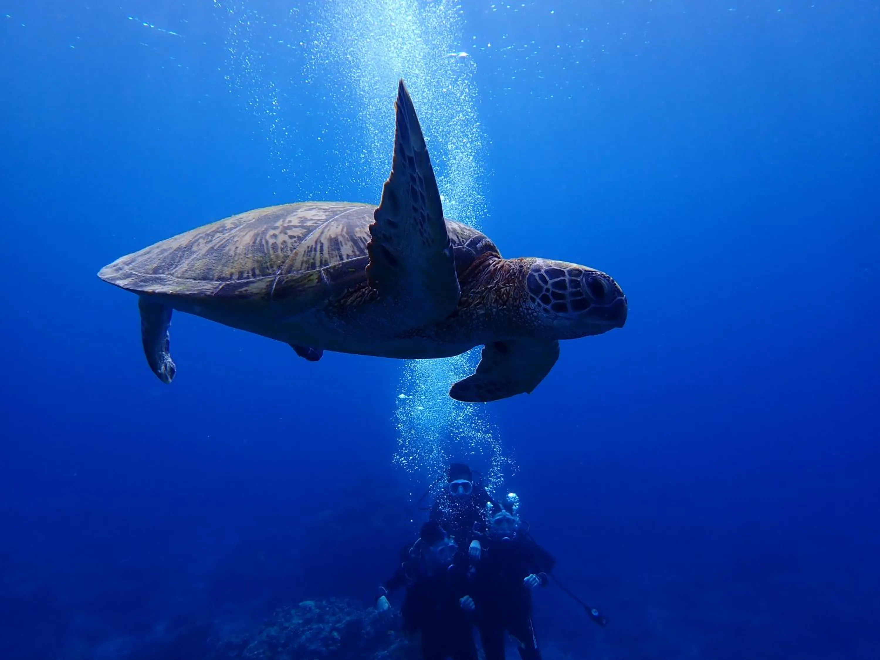 Good Viewing Spot B&B