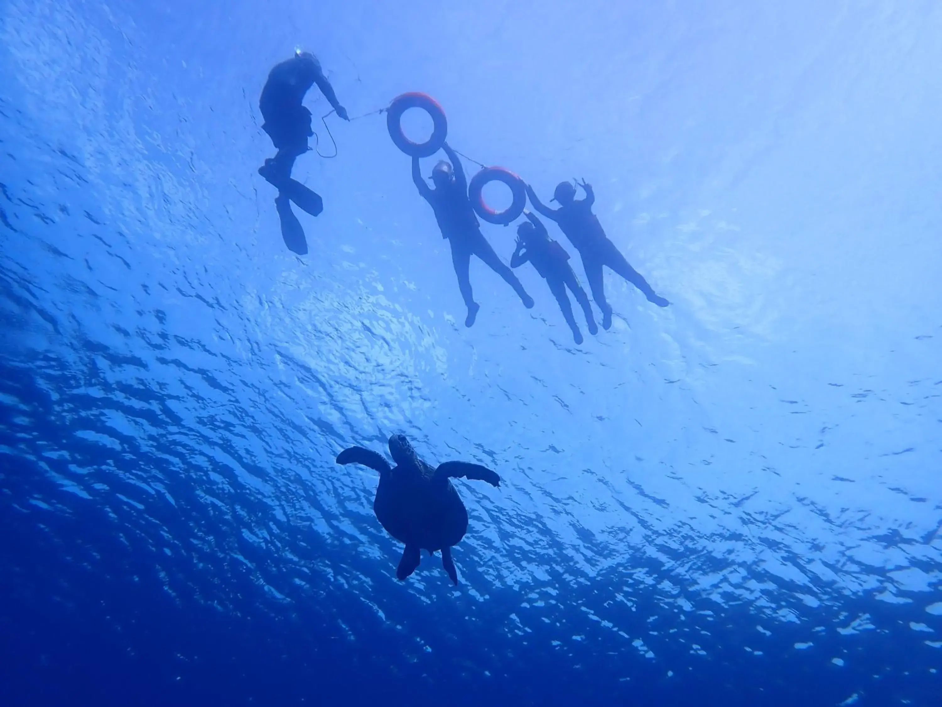 Good Viewing Spot B&B Good Viewing Spot B&B