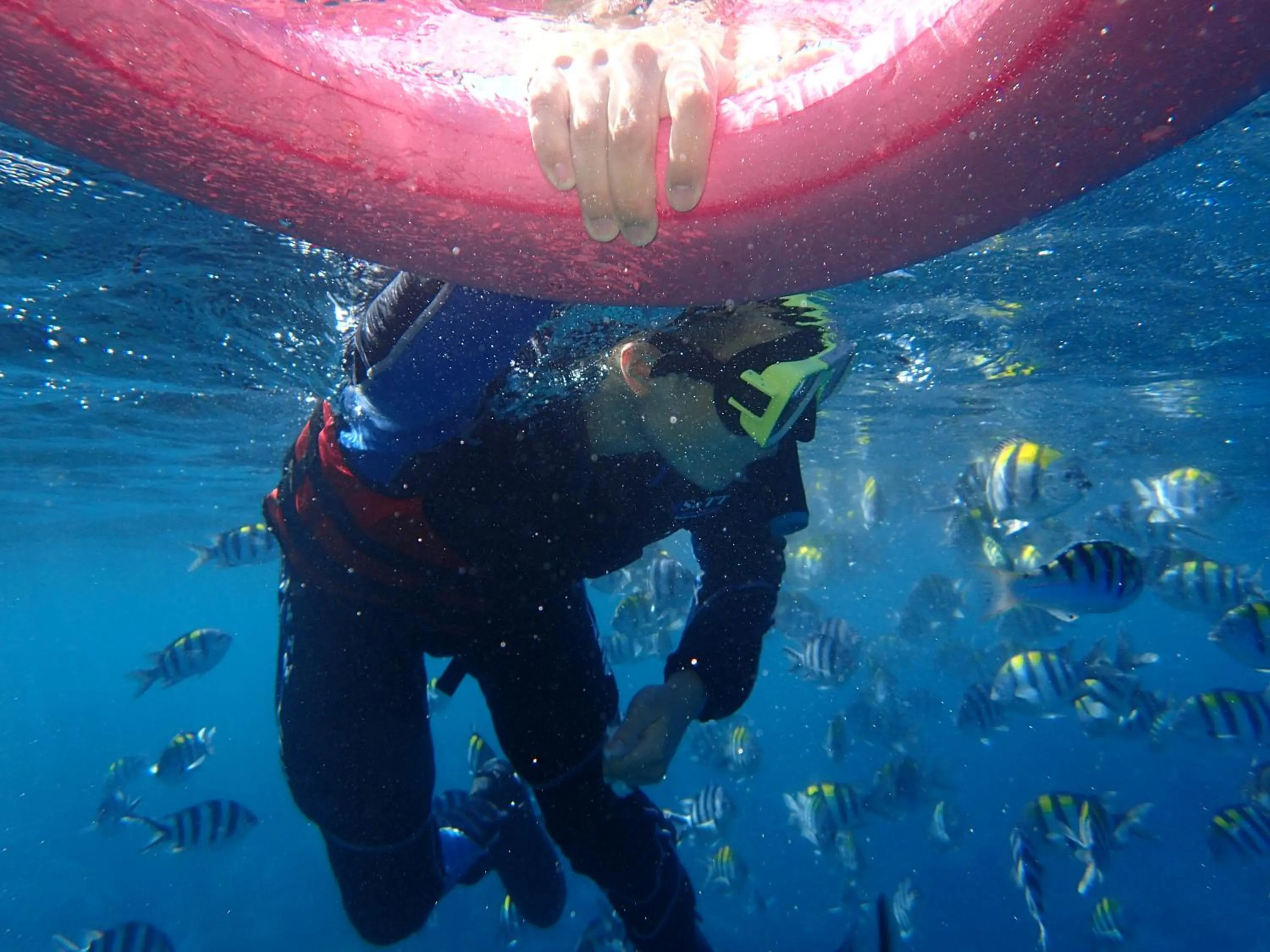 Good Viewing Spot B&B