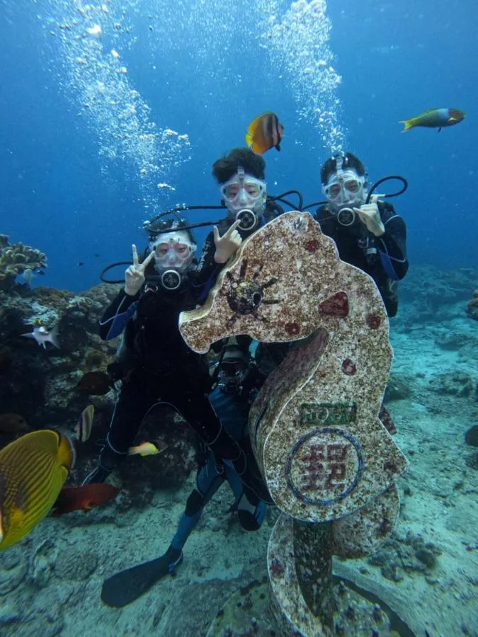 Good Viewing Spot B&B