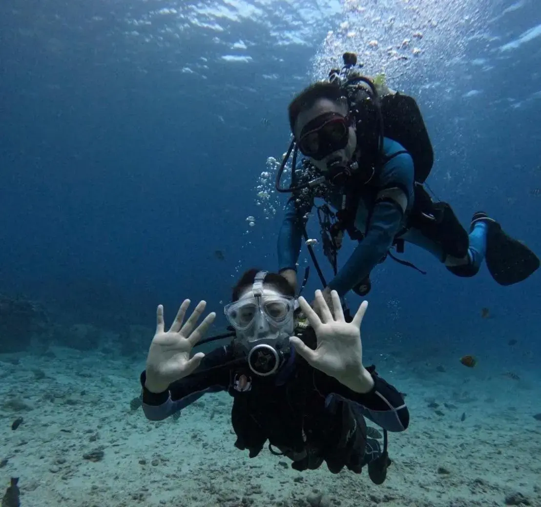 Good Viewing Spot B&B Good Viewing Spot B&B