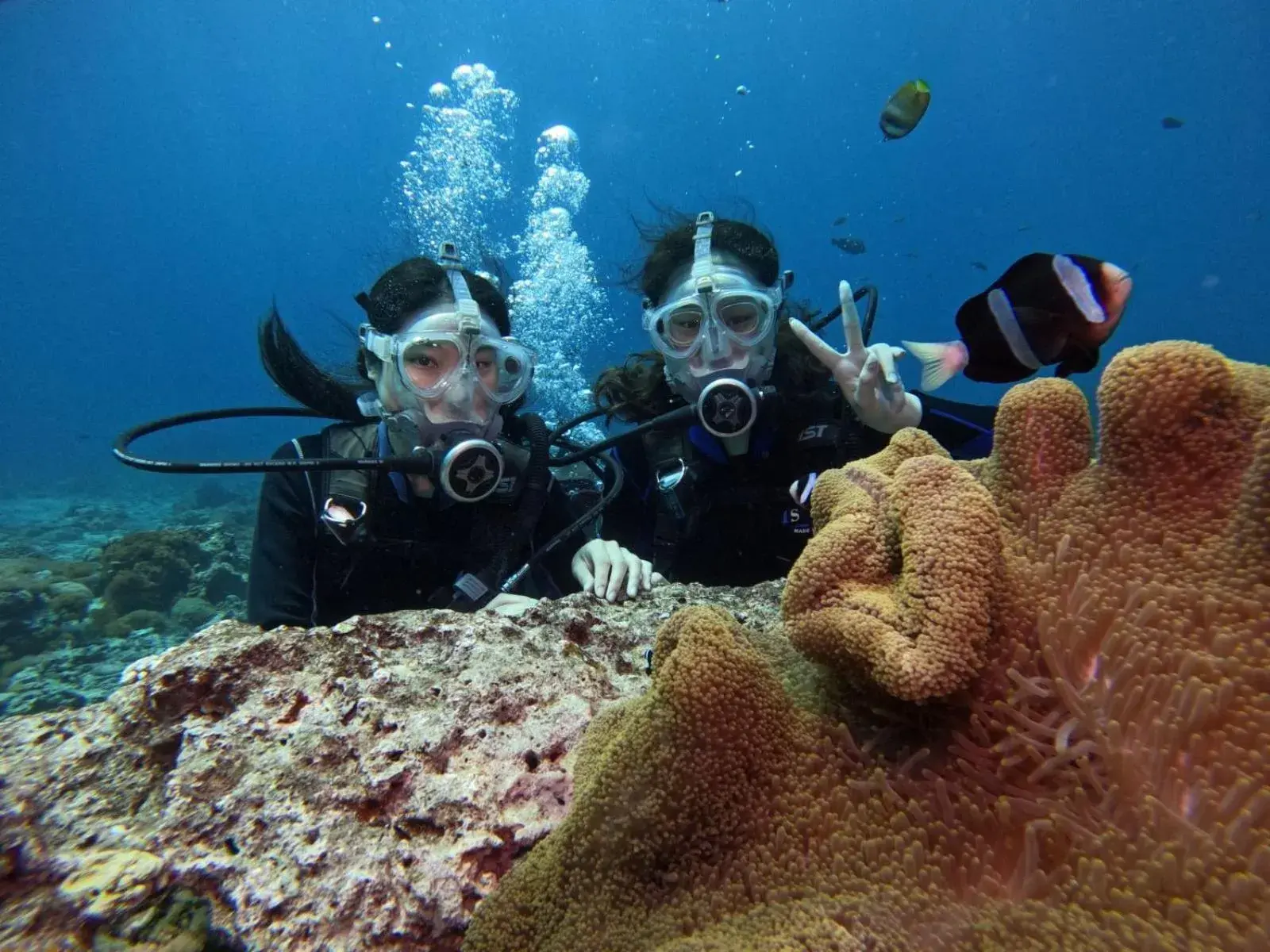 Good Viewing Spot B&B Good Viewing Spot B&B