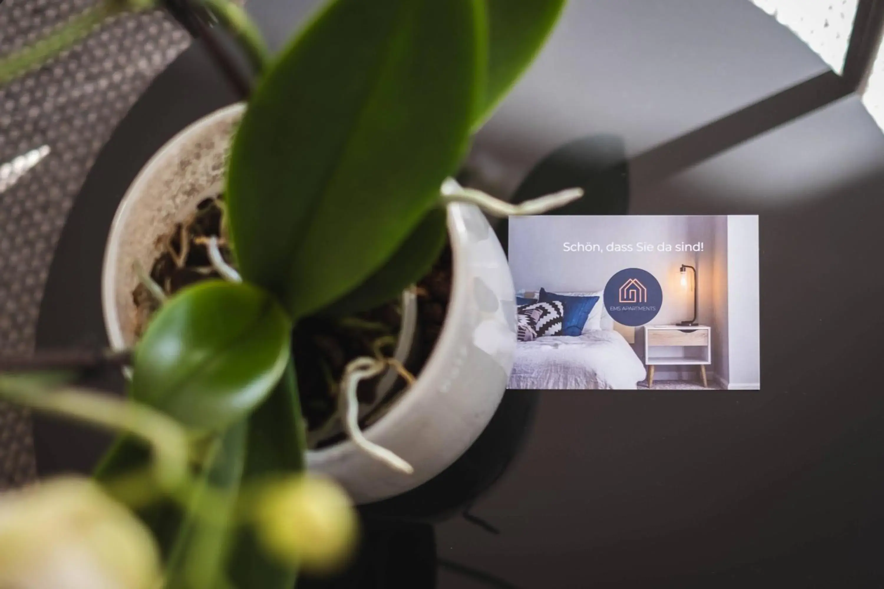 Penthouse Apartment in Appartements an der Therme Penthouse Apartment in Appartements an der Therme